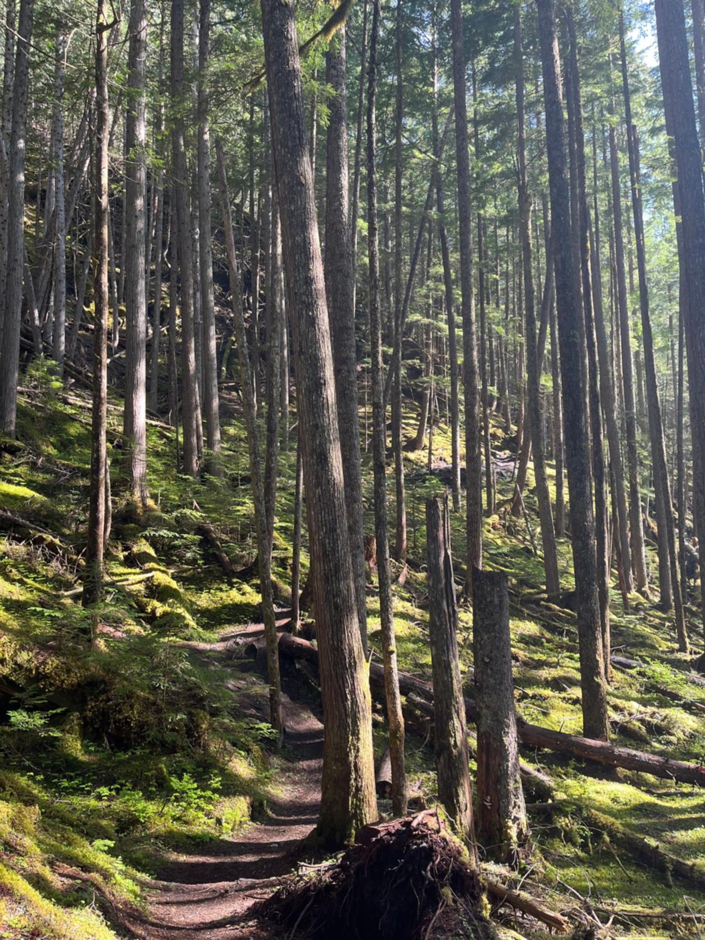 The Kootenay Lake House - A Private Luxury Retreat
