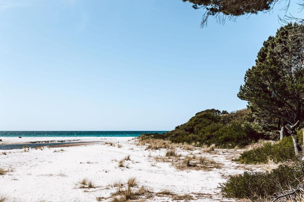 Sloop Cottage - Beachfront - Vibes