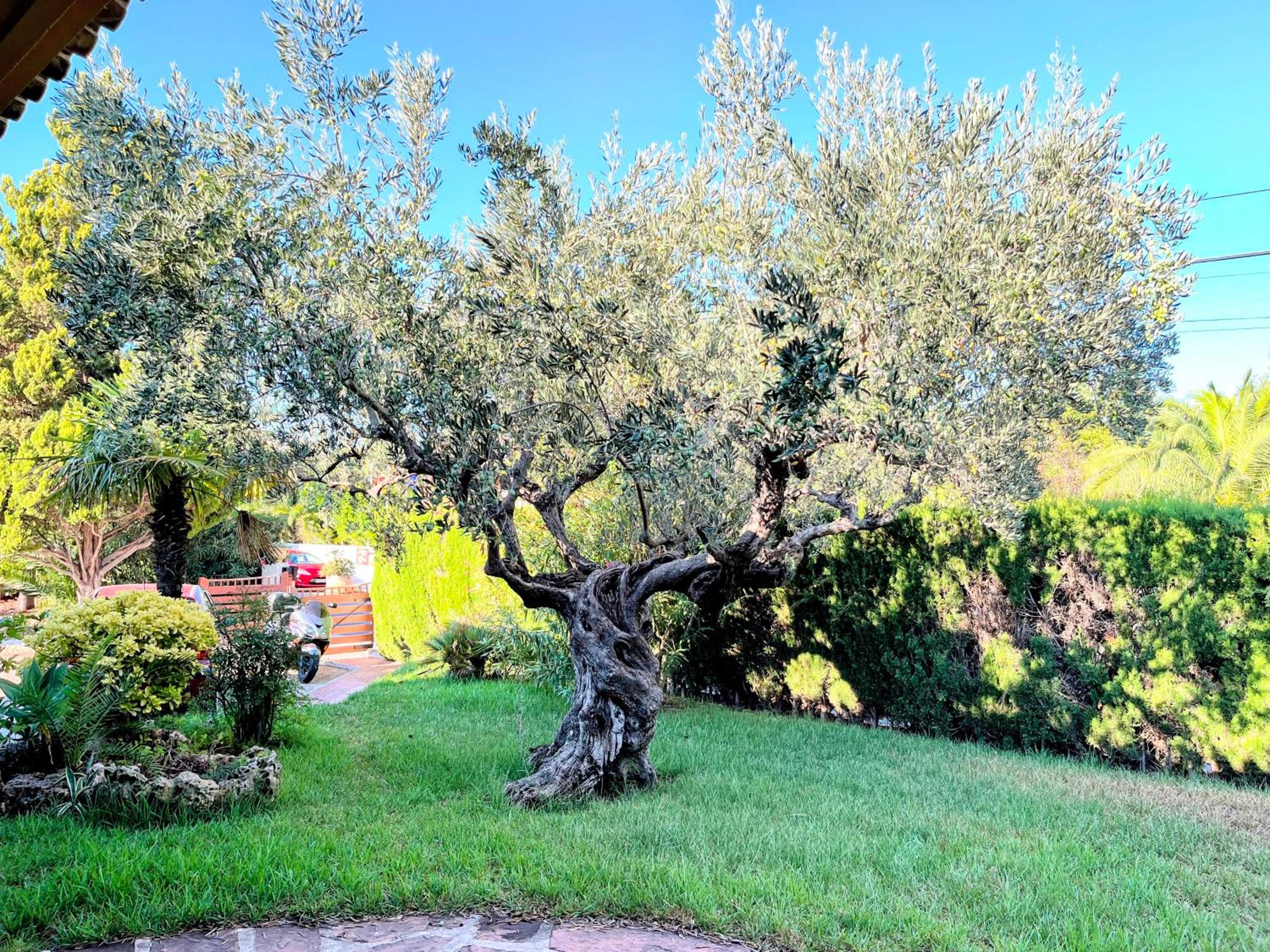 Villa Sigalero