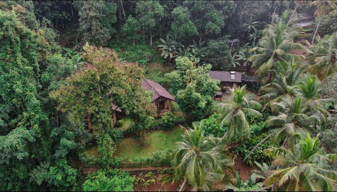 Mangi's Tranquil Bungalows view 2