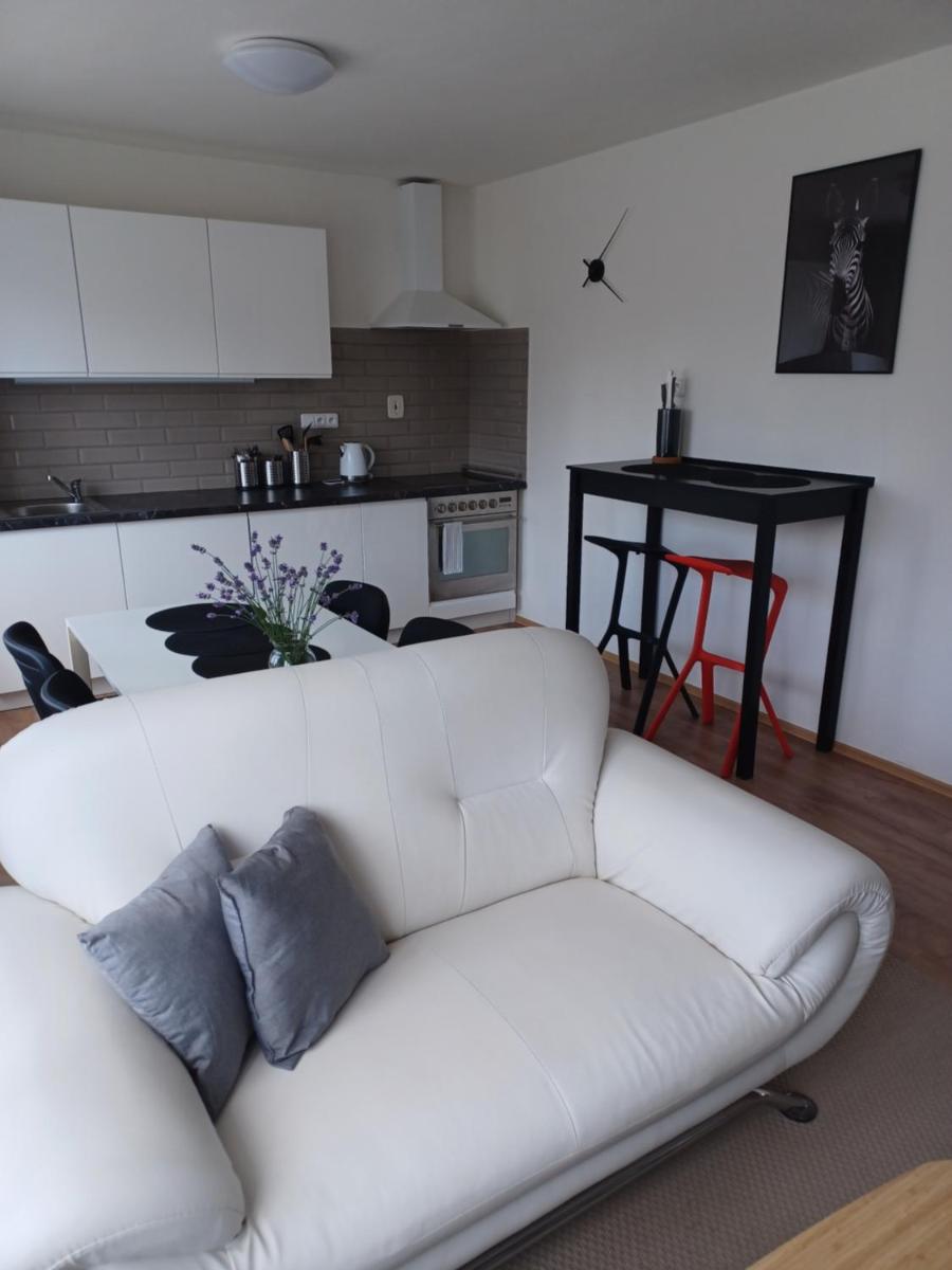 Apartmán Radenice