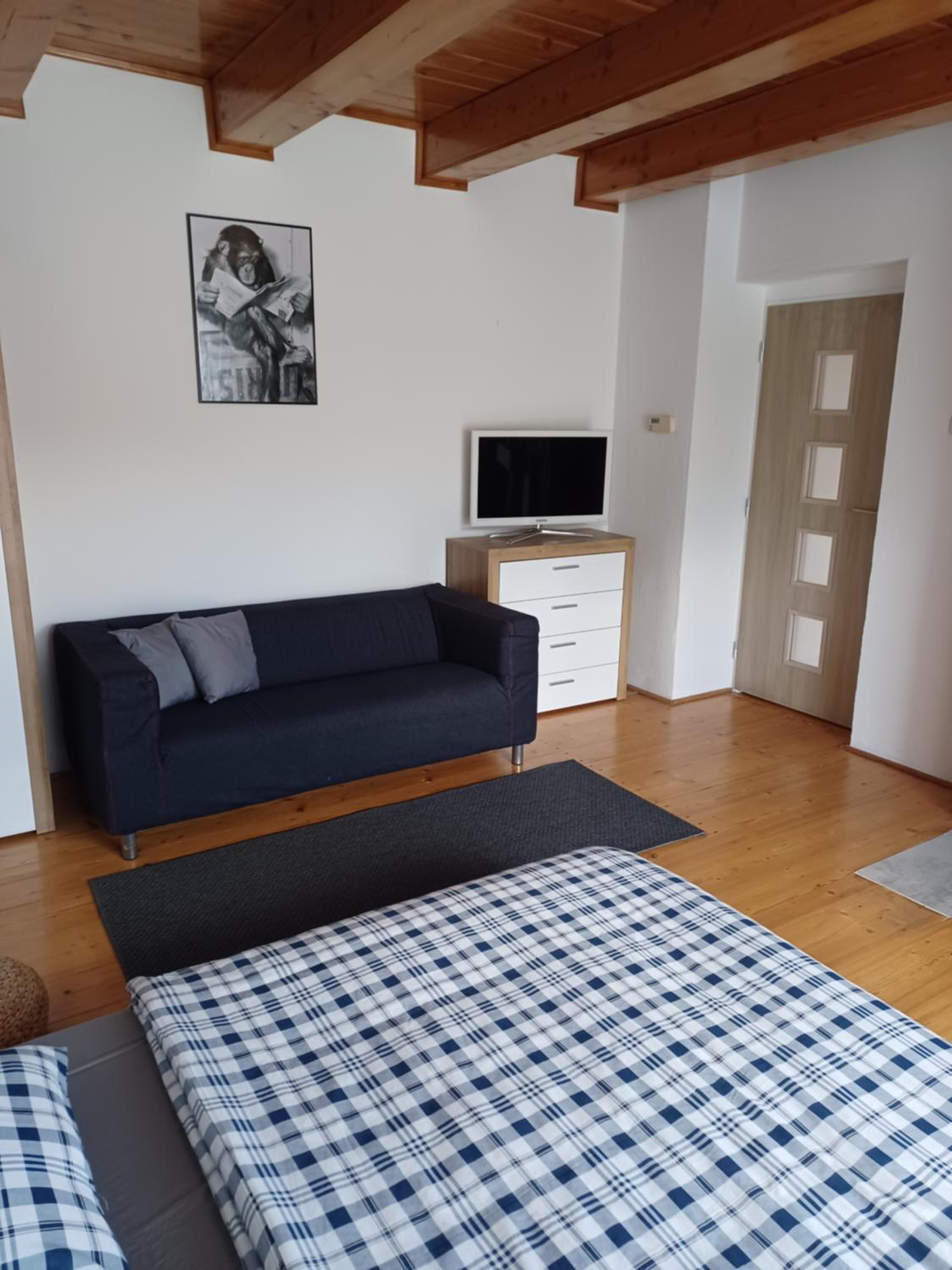 Apartmán Radenice
