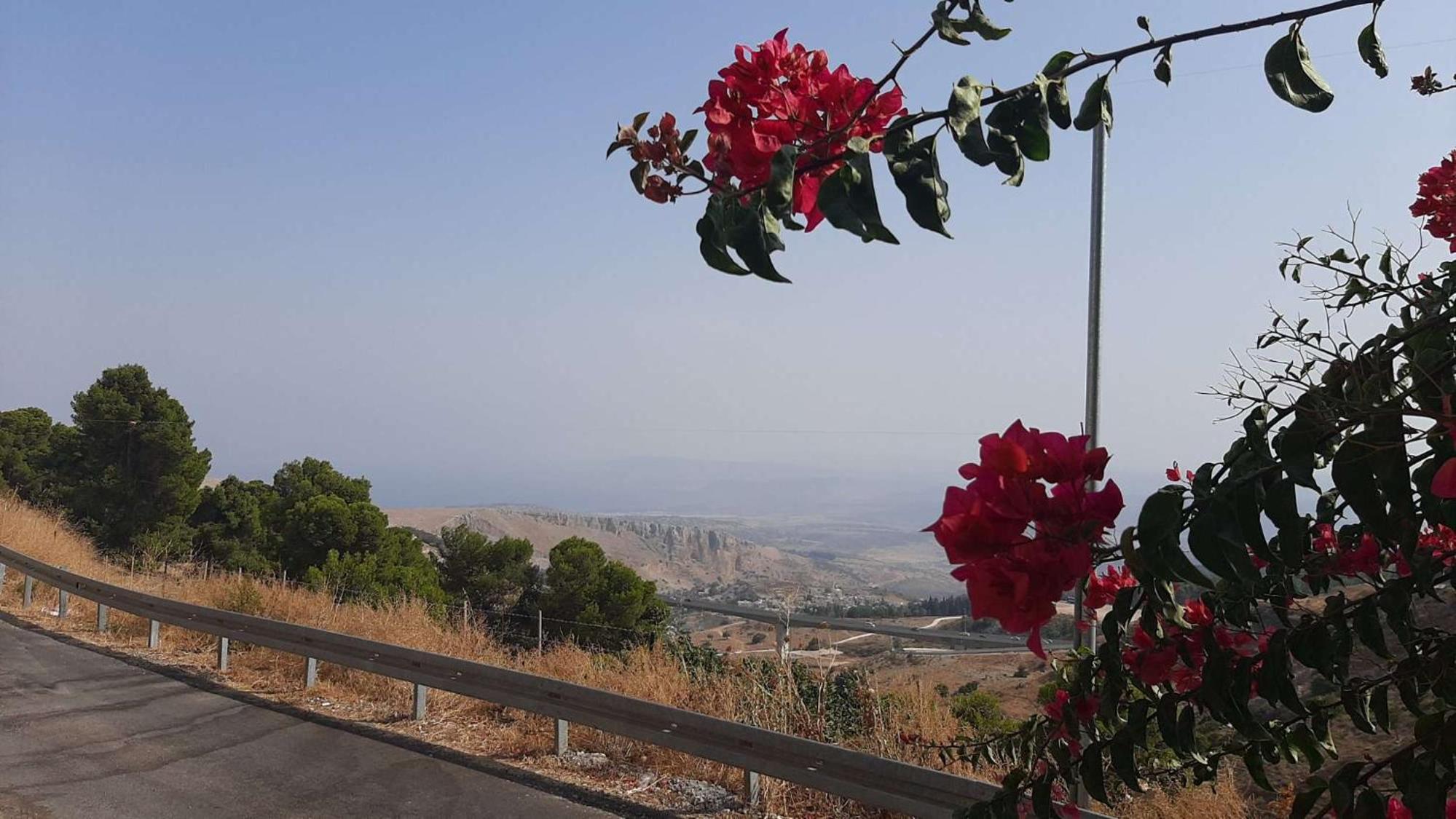 Relaxed garden apartment with Galilee sea view 1 view 3