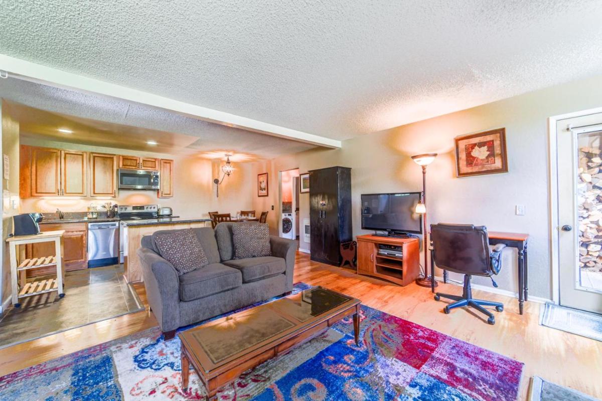 Hotel #249 - Mountain Condo Walking Distance to Gondola & Village - Image 1