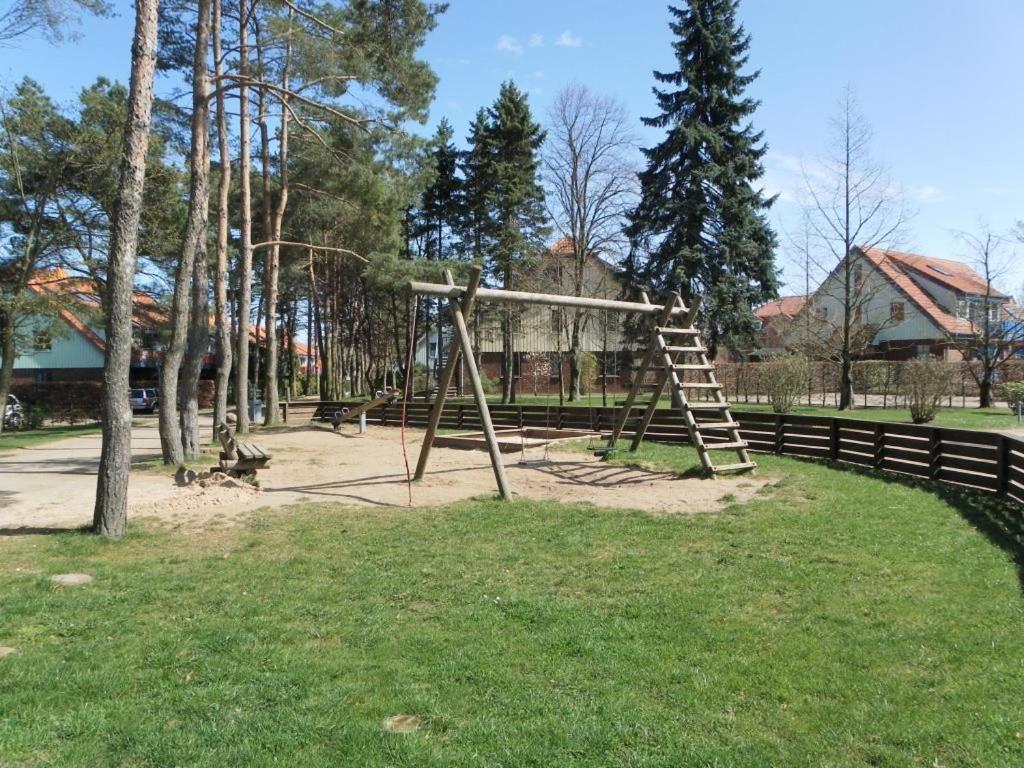 Papillon Whg 9 7, Silbermöwe