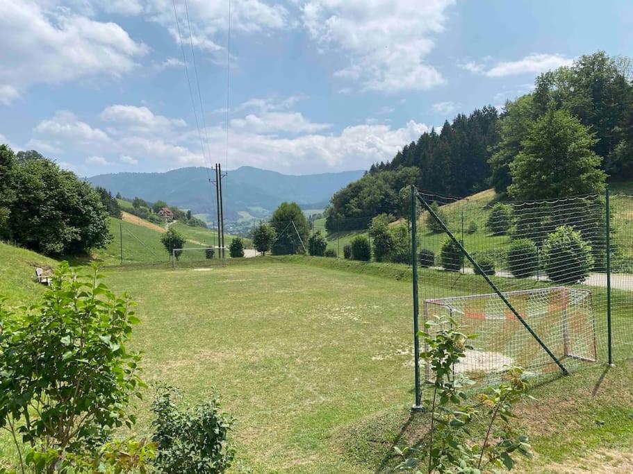 **Schwarzwald-Haus mit Sauna**