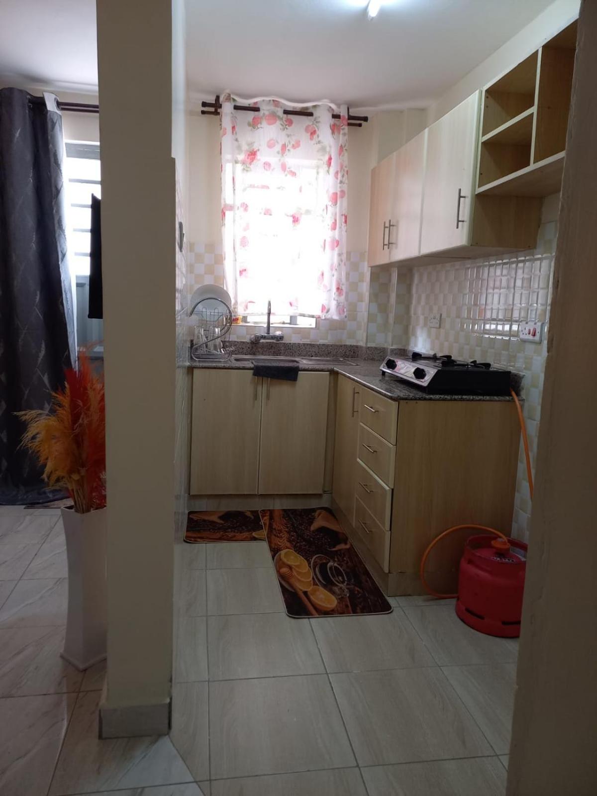 Specious 1bedroom near JKIA view 3