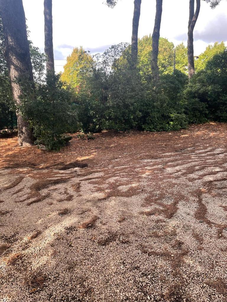 Villa Adriana Tuscia Country Retreat, photo 102