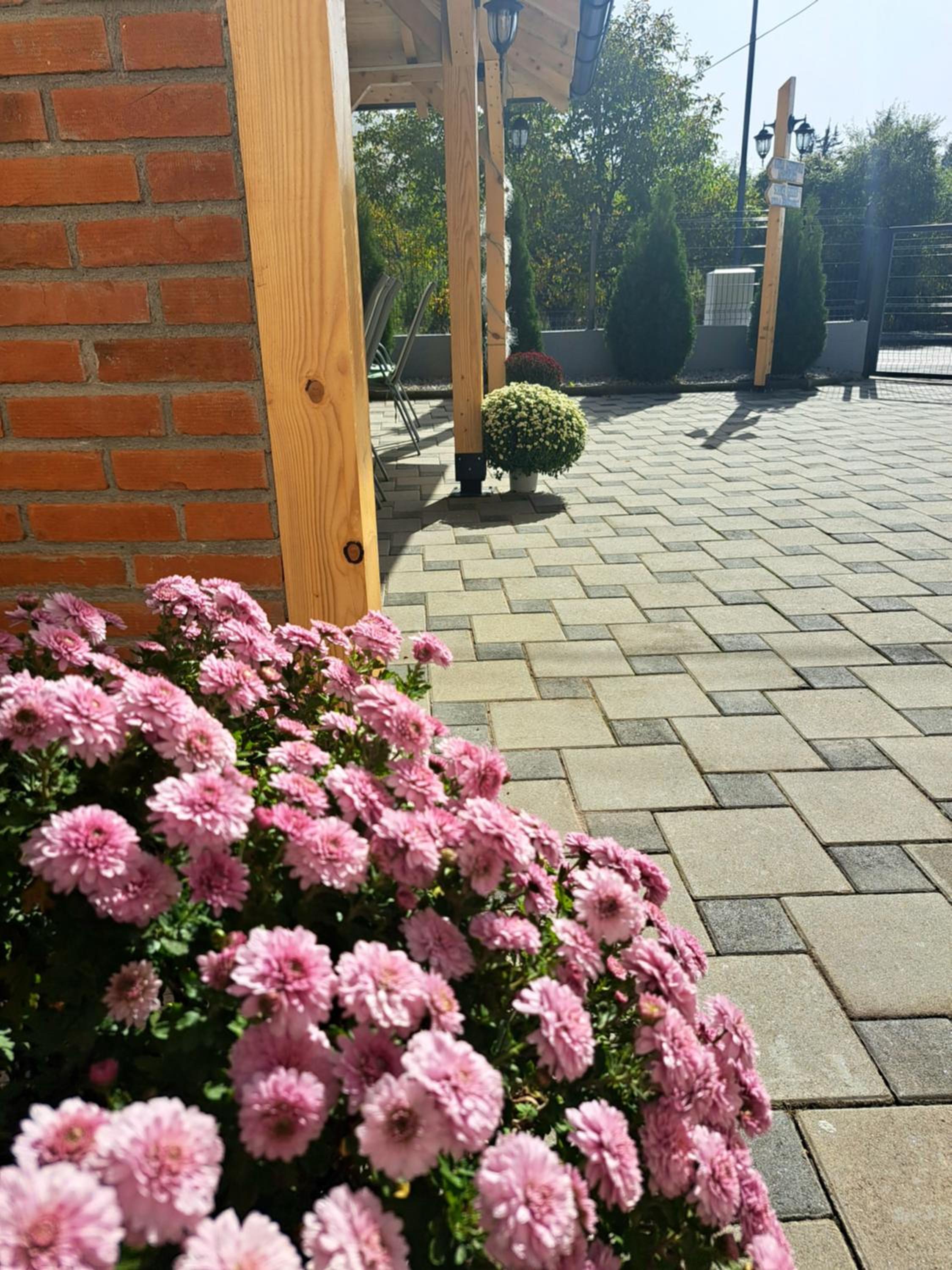 Photo 6