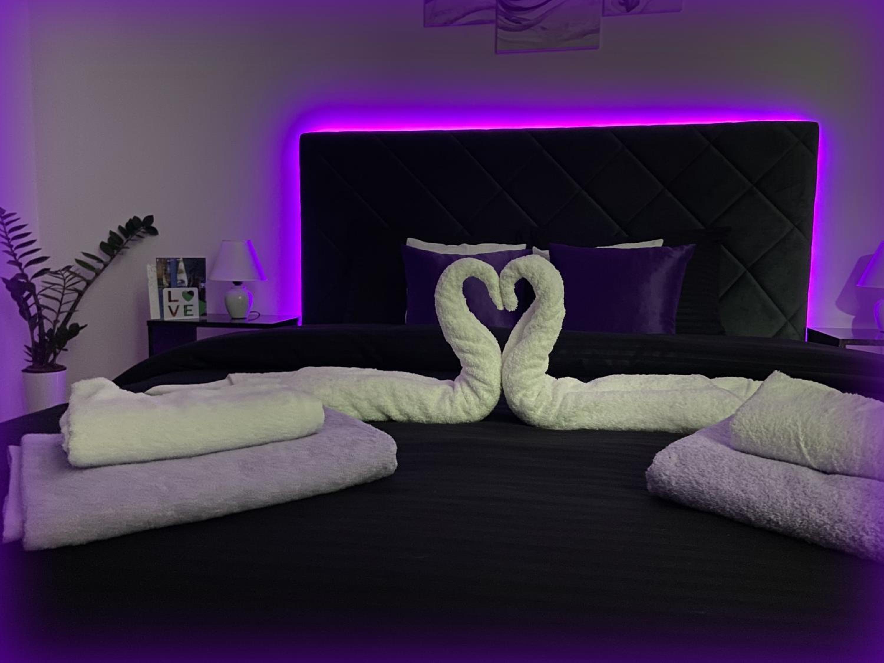 GLAMUR APARTMANI Novi Sad view 4