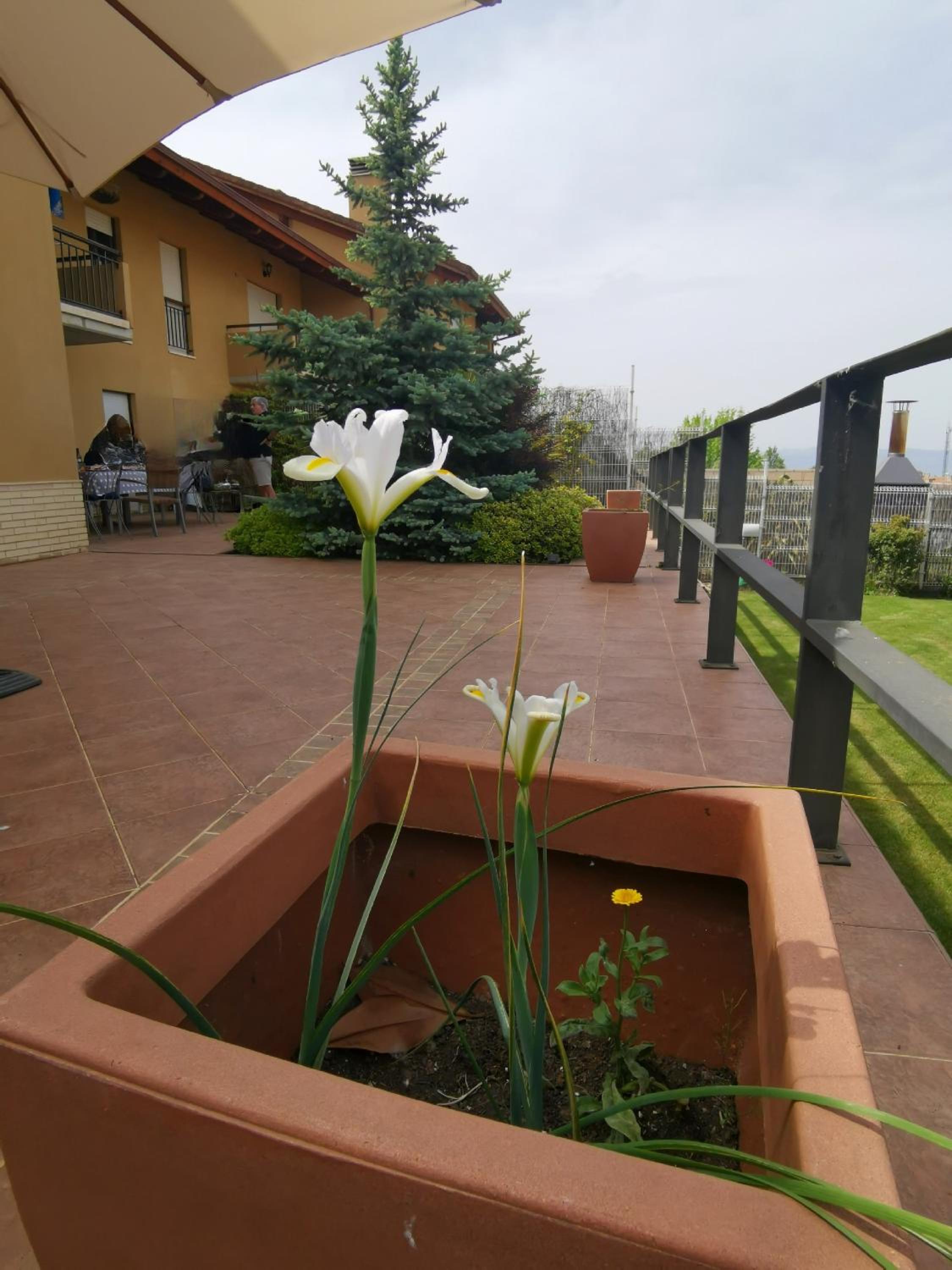 Photo 19