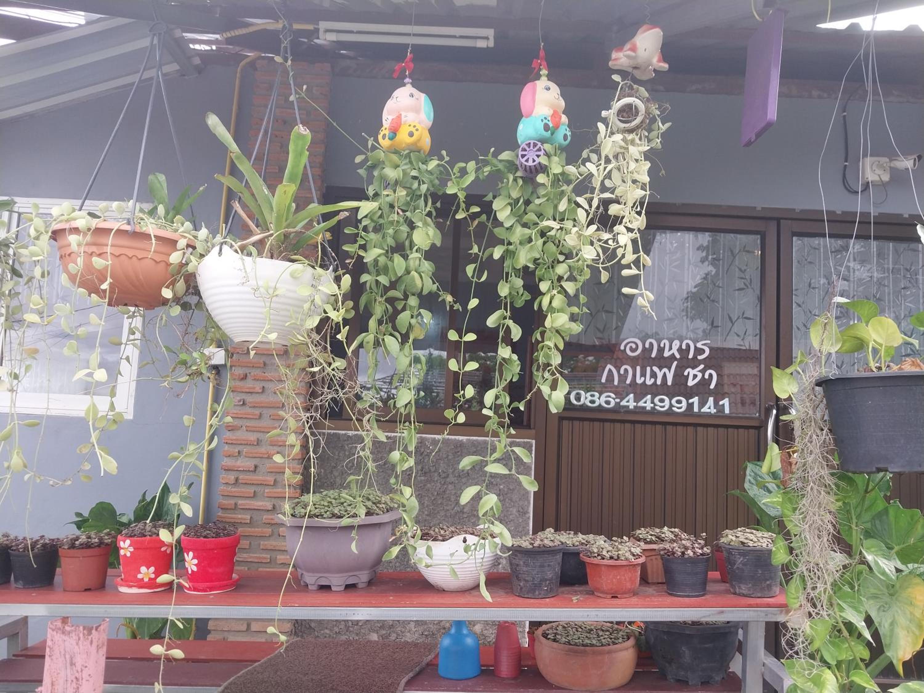 Khai Mook Homestay view 2