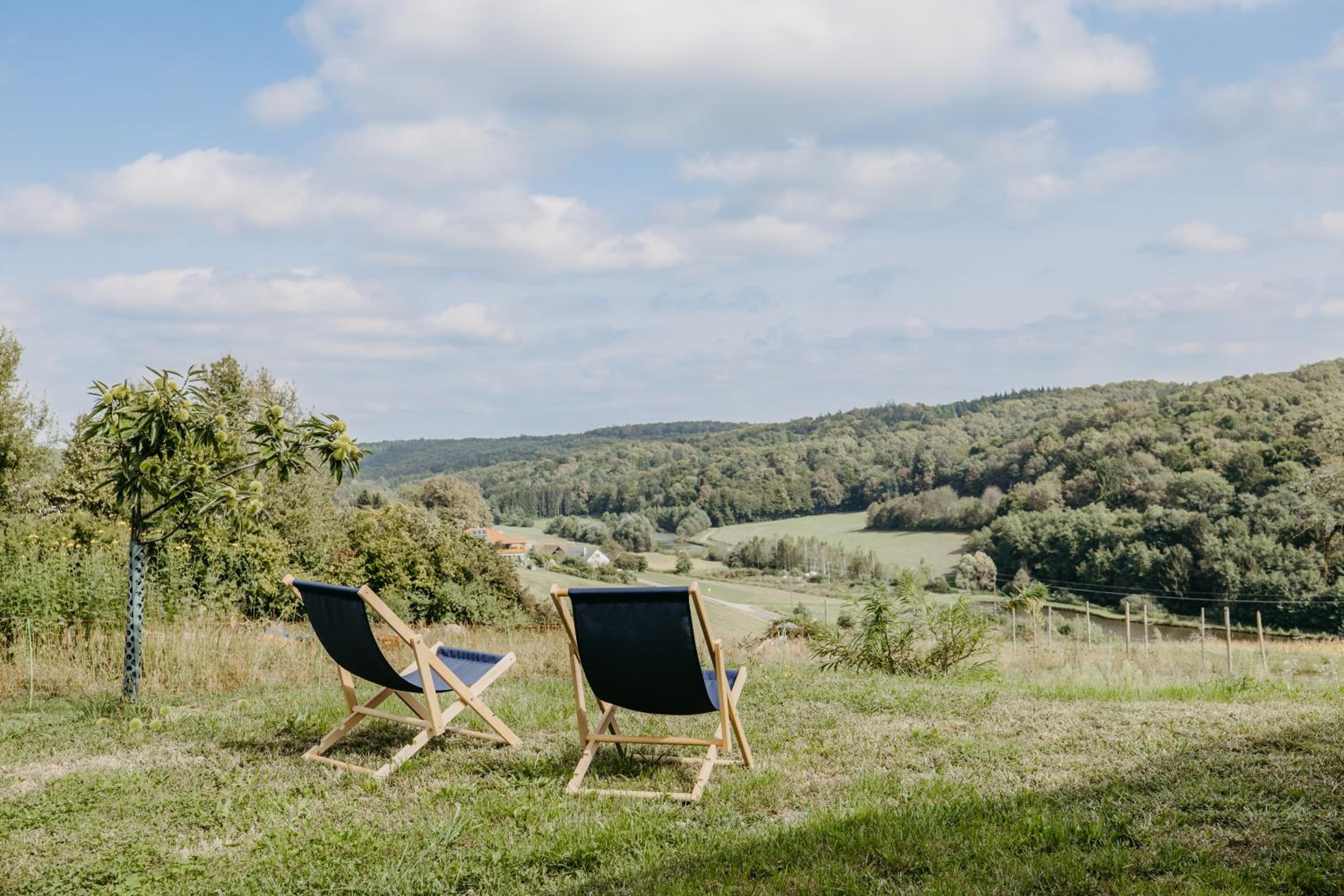 Käferberghof im Südburgenland, Urlaub am Bauernhof - Komfortzimmer mit & ohne Frühstück
