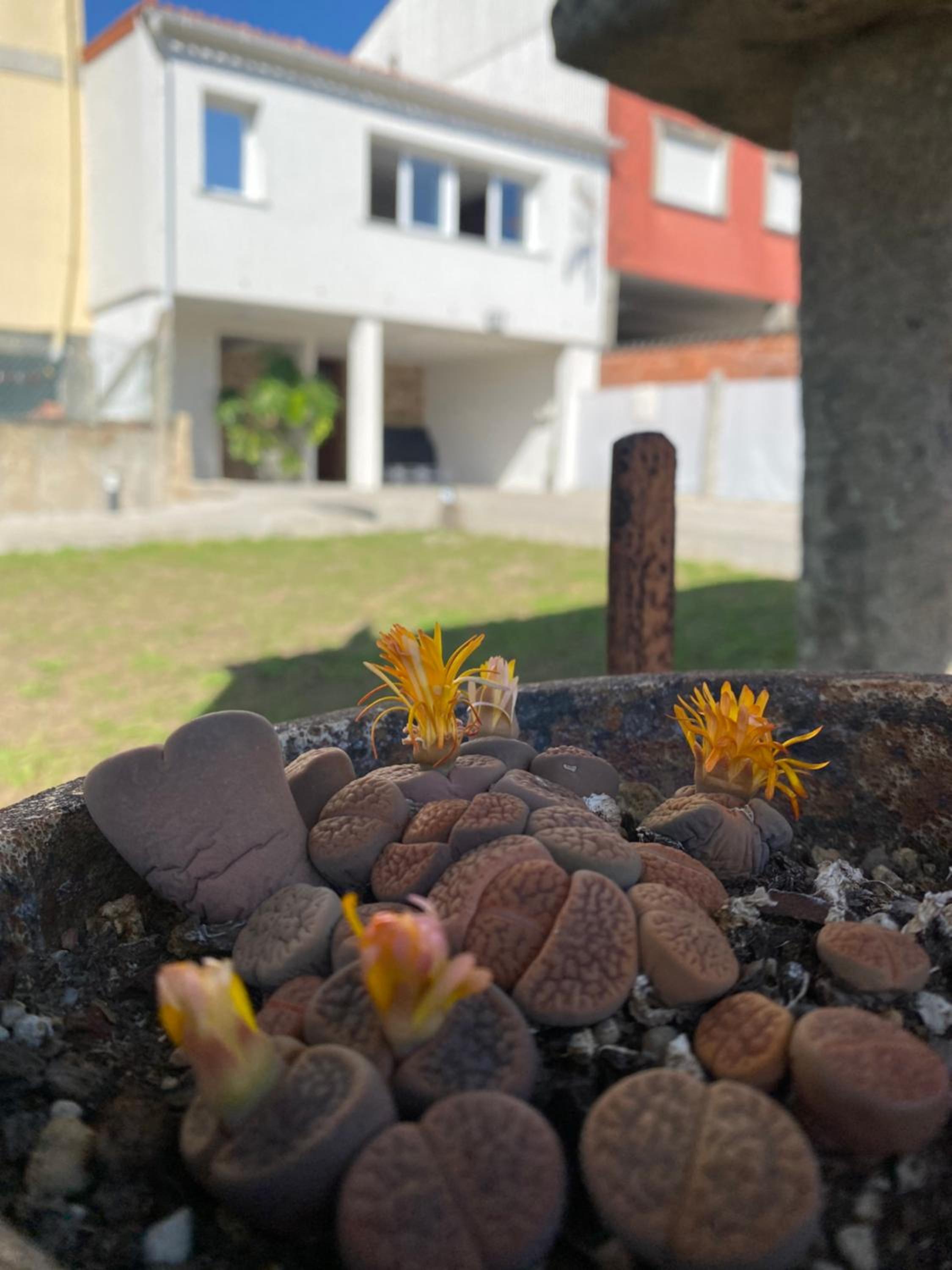 CASA do CAMPO Lestrove