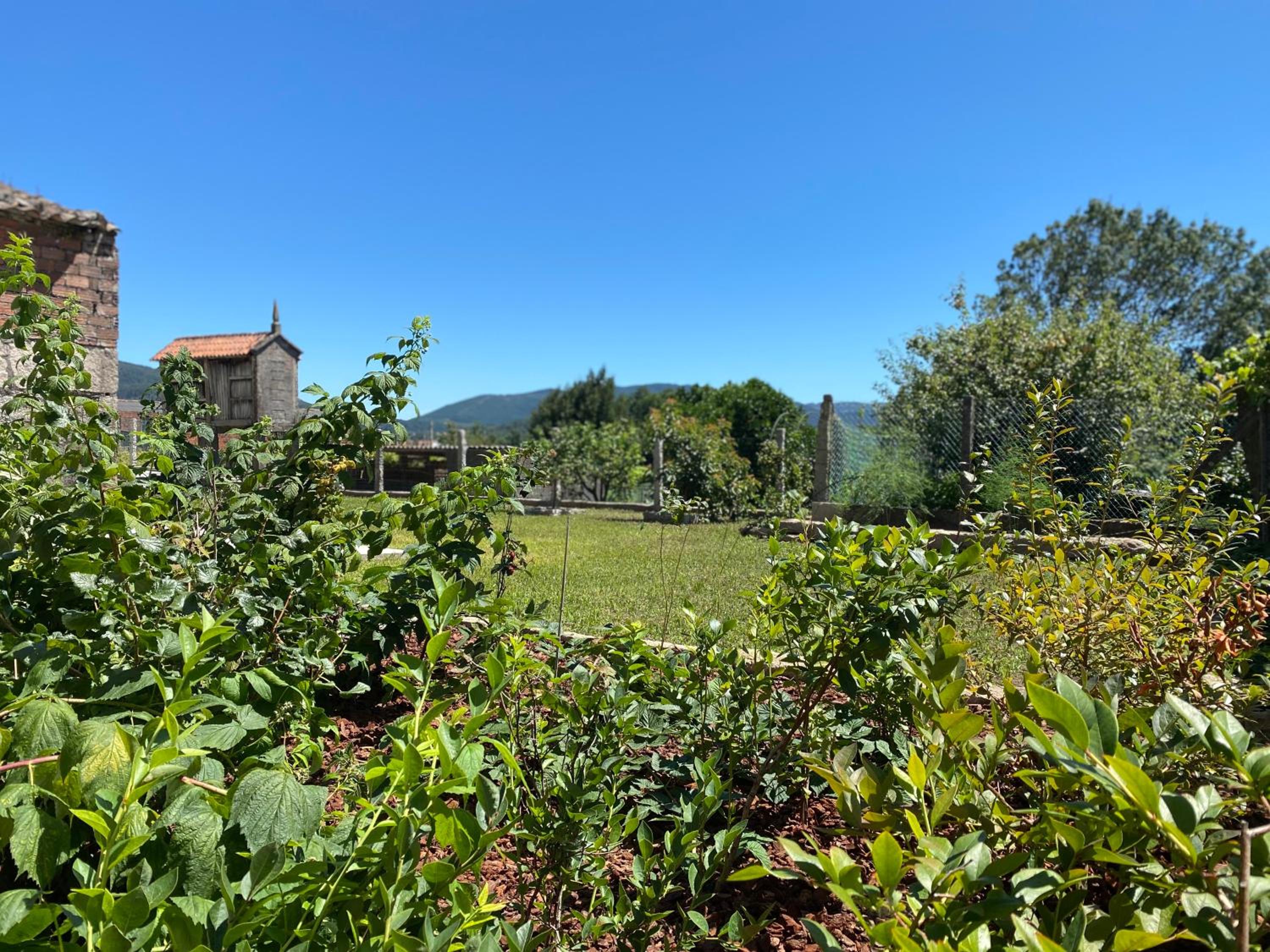 CASA do CAMPO Lestrove