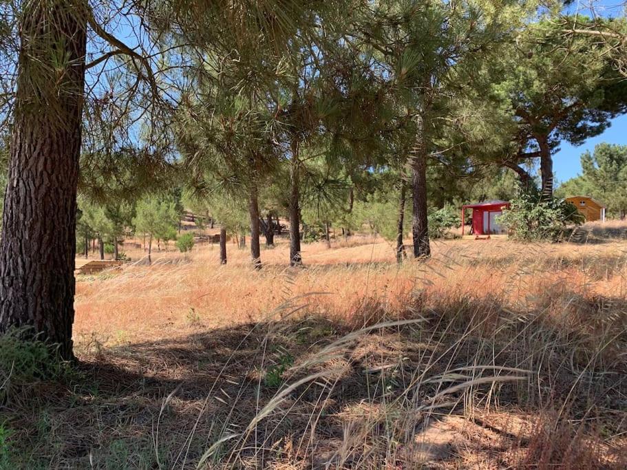 Property between Melides and Aberta Nova beach view 2