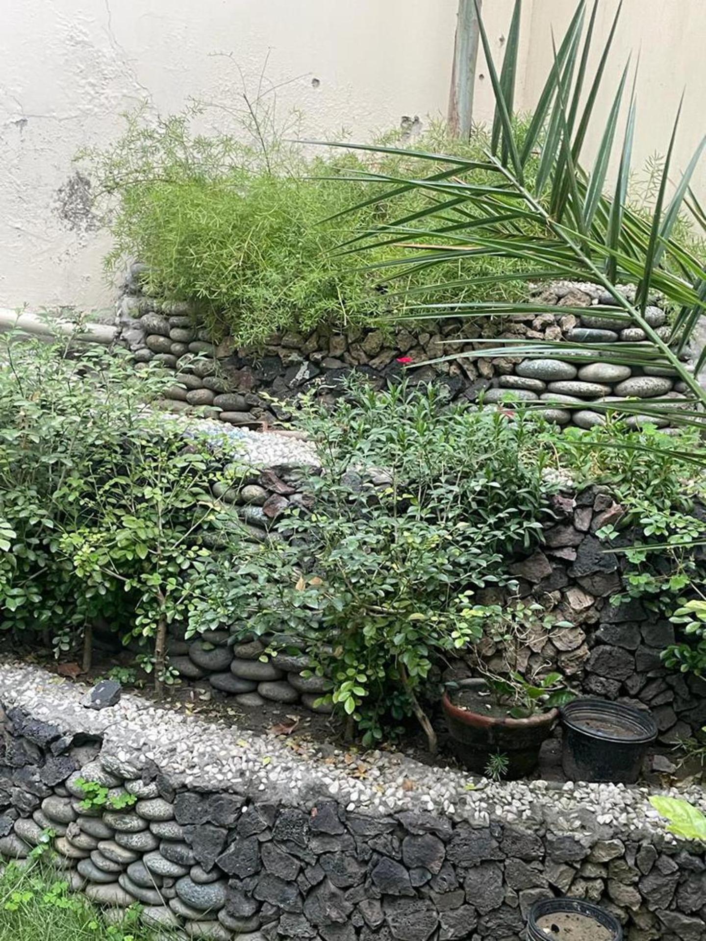 Photo 46