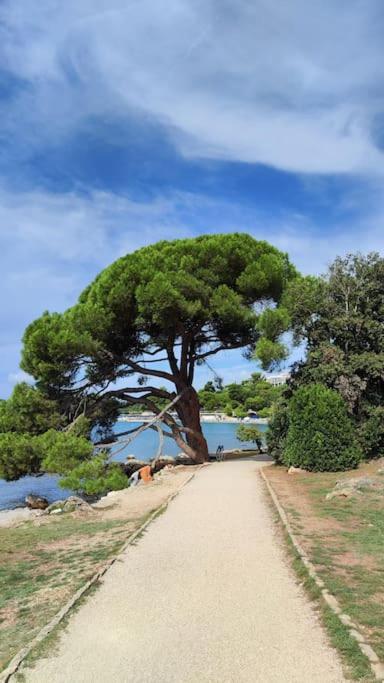 Photo 54