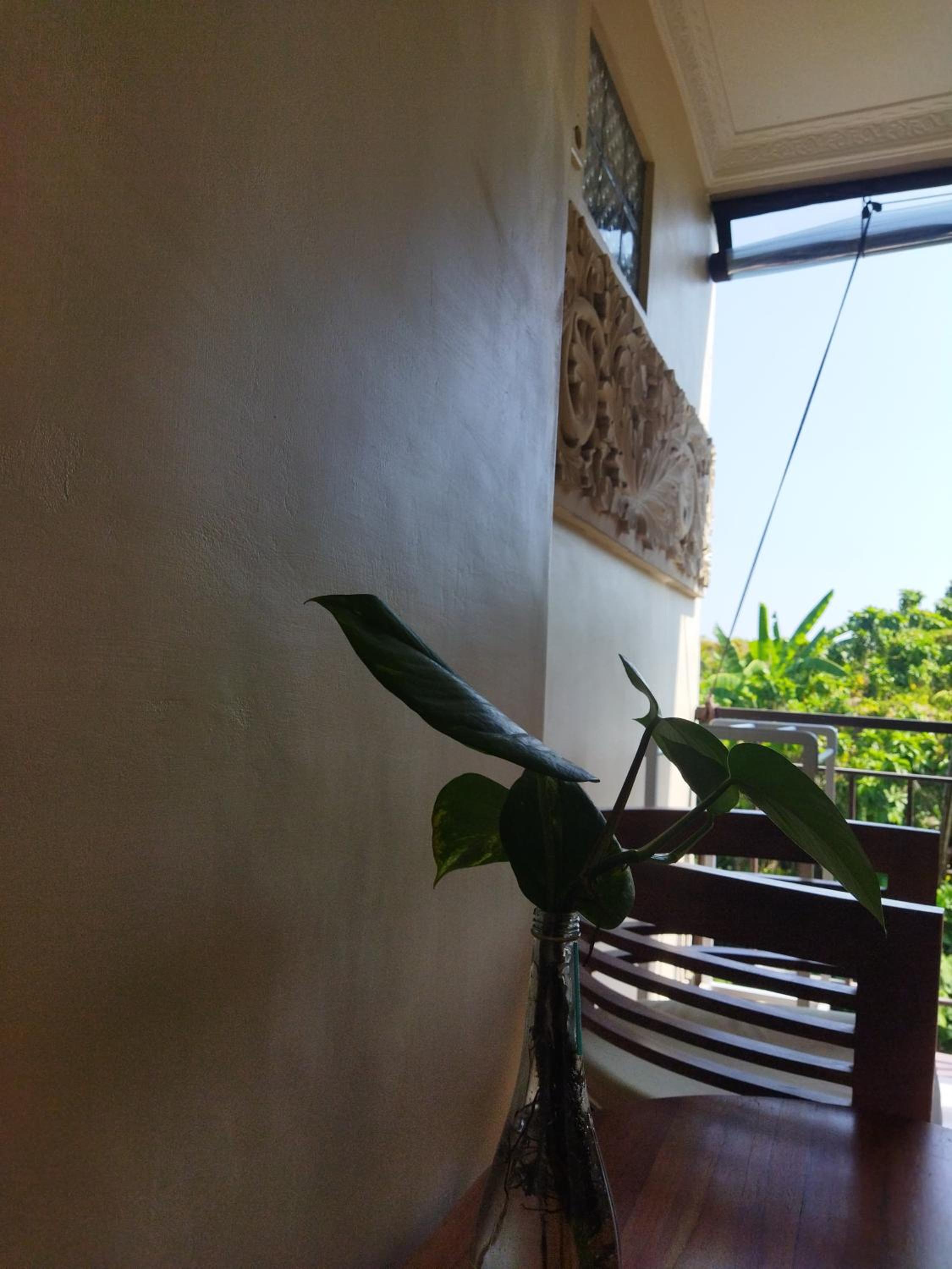 Wahwik's House