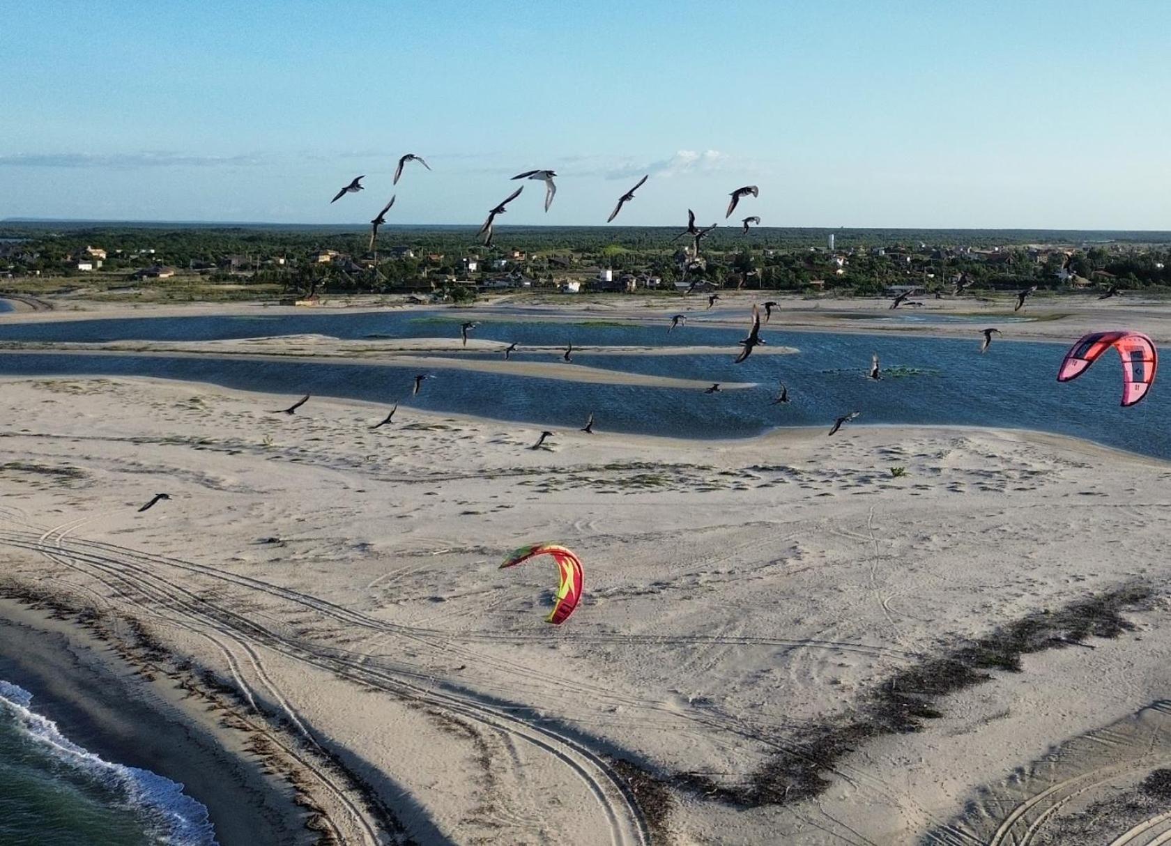 Amazônia Kite Club