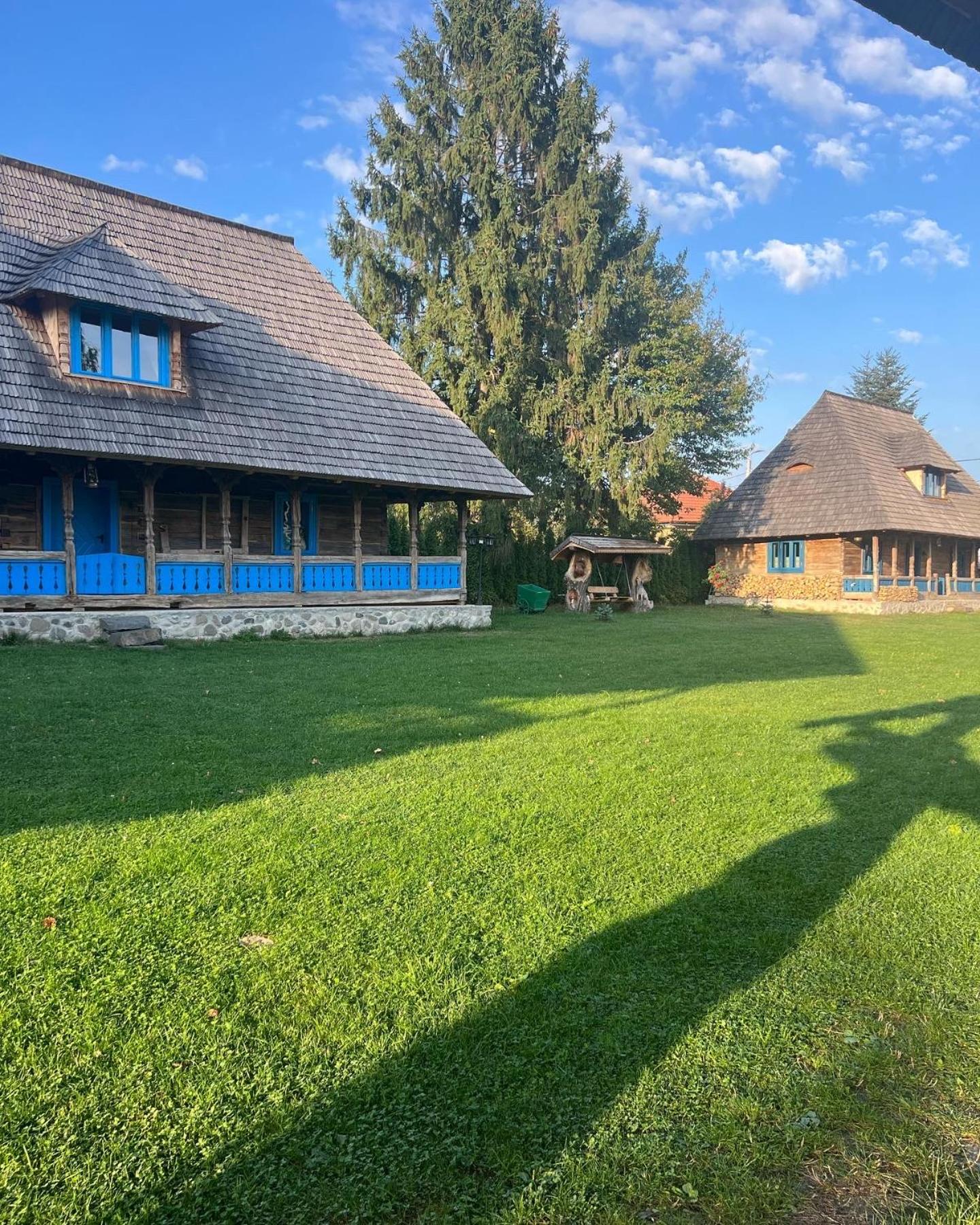 La Patru Daci