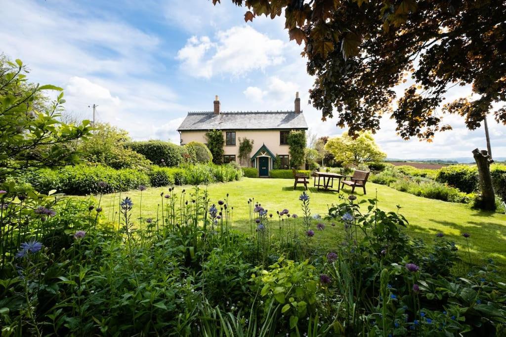 The House at Field Cottage