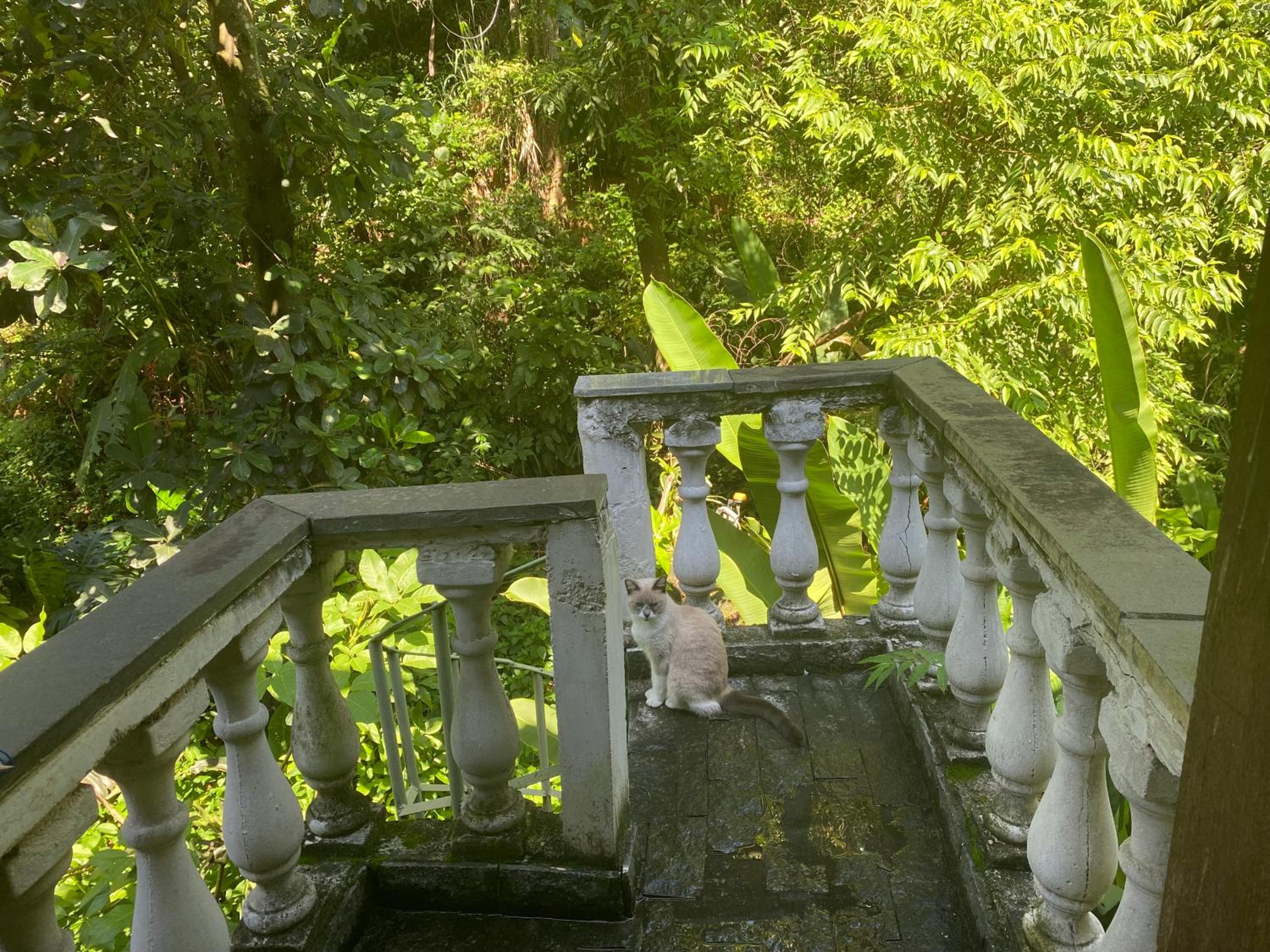 Rio Natureza apart 118
