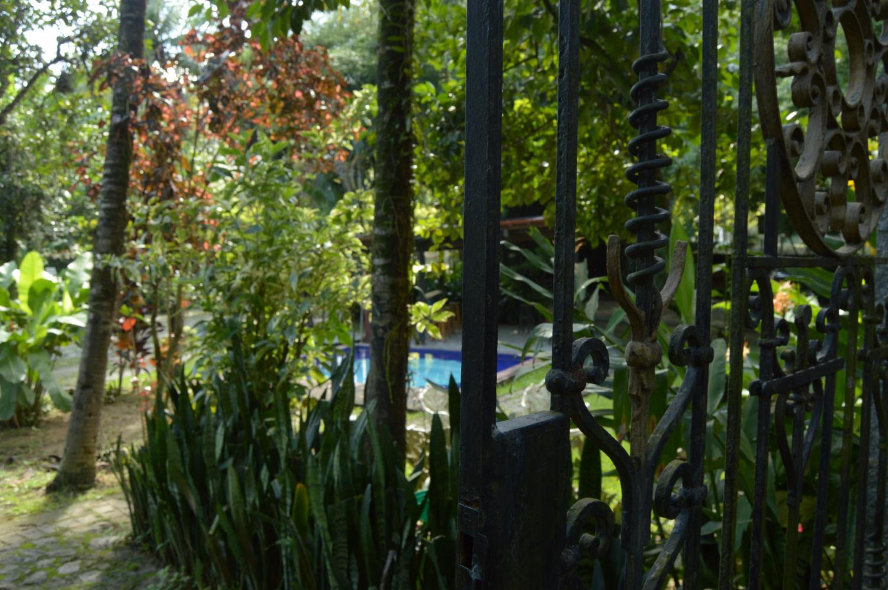 Rio Natureza apart 118