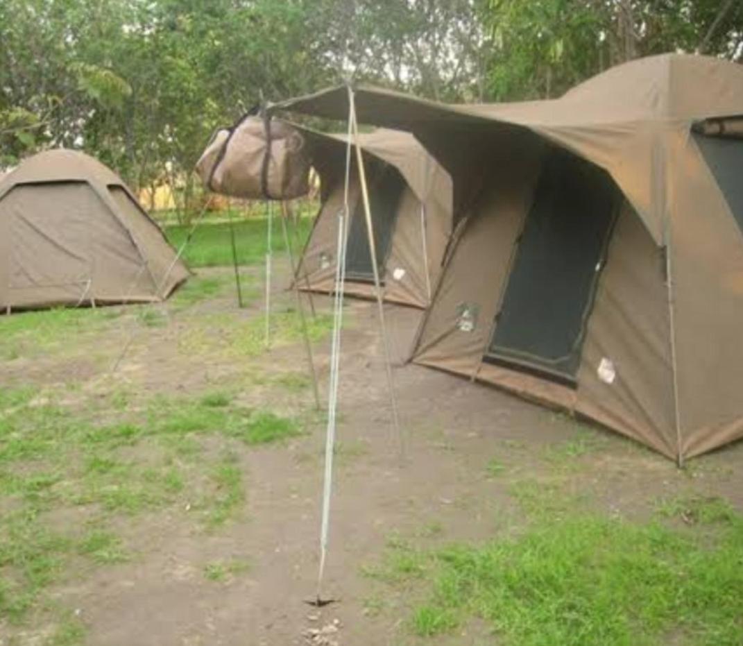 Camping Magamba Forest view 2