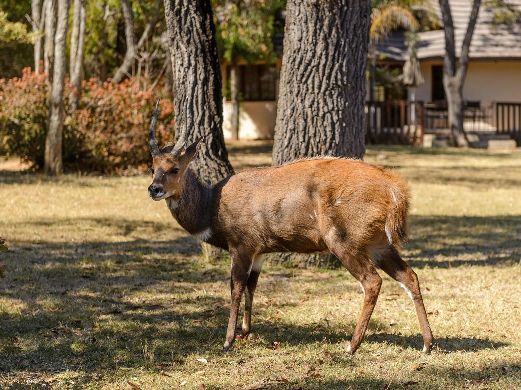 Waterberg Game Park
