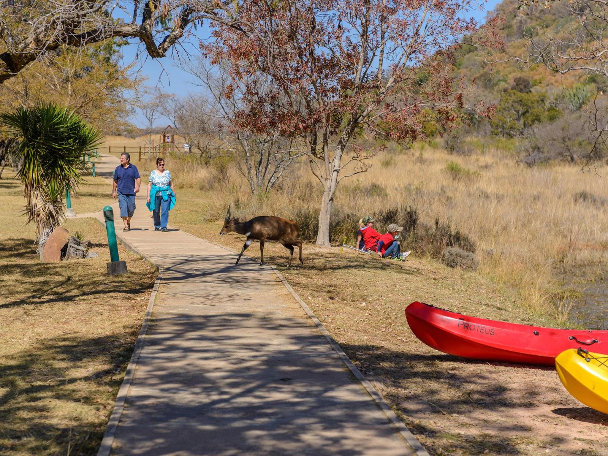 Waterberg Game Park