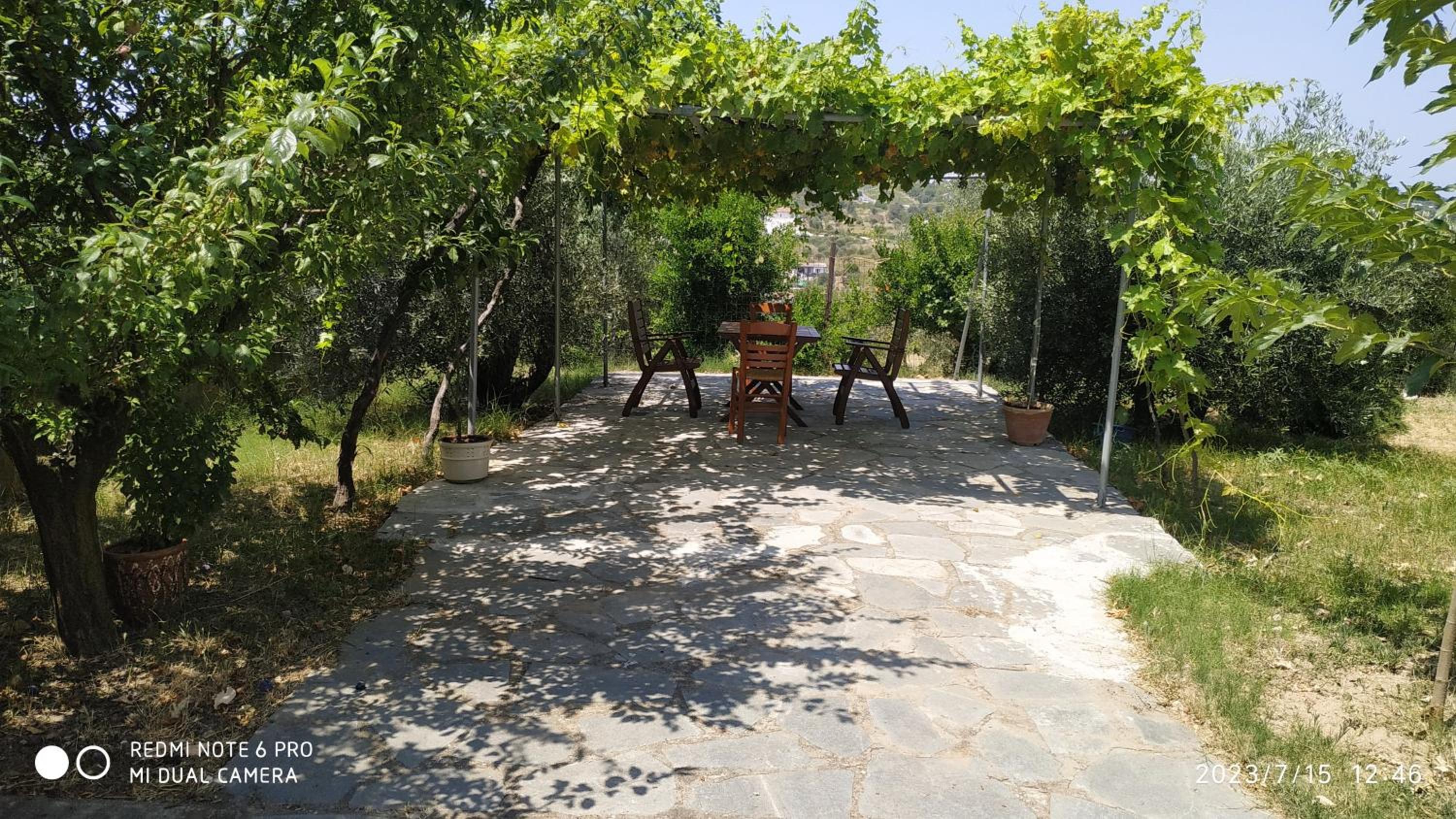 The Villa with the Aromatic Herbs view 5