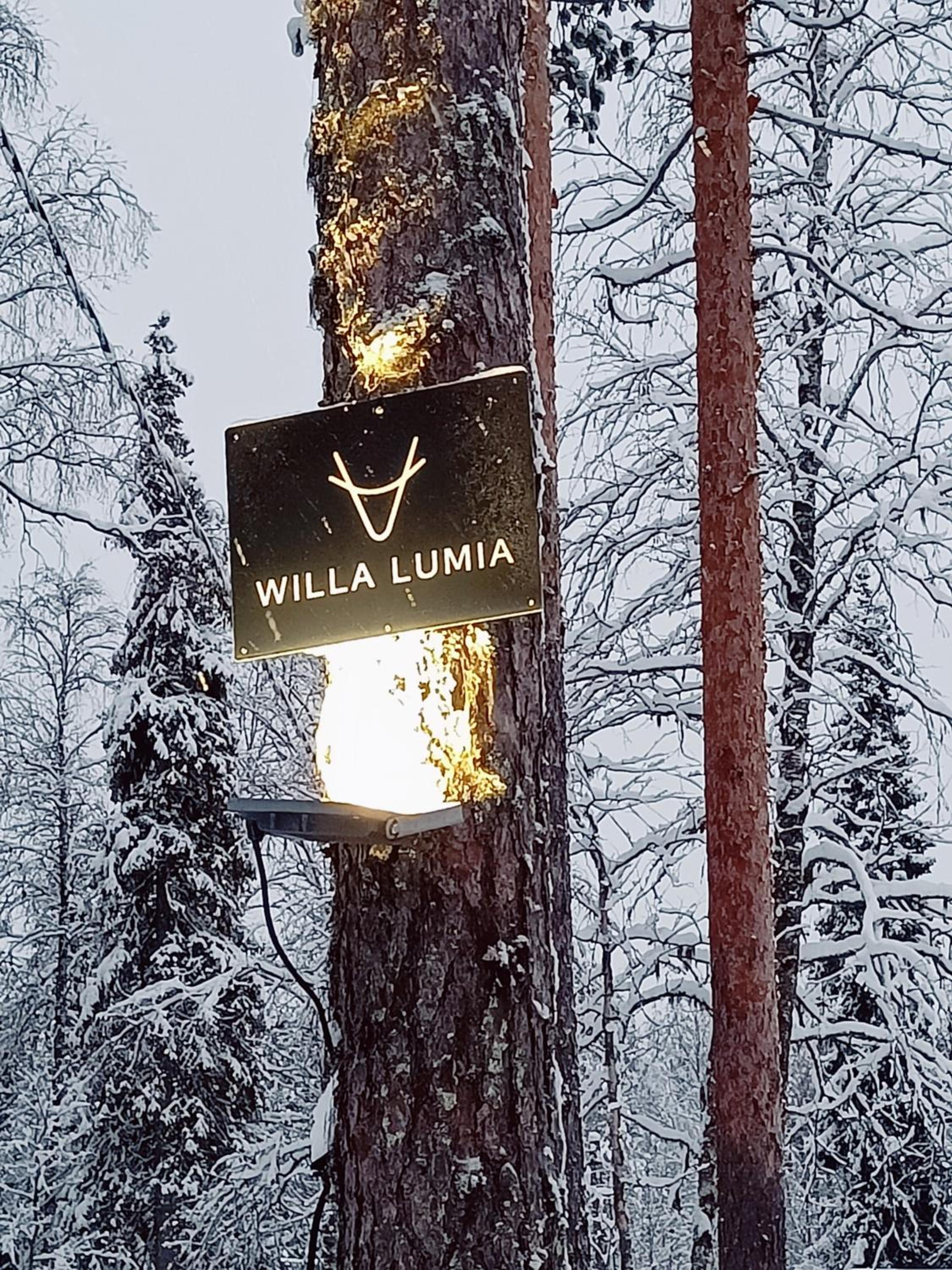 Willa Lumia view 4