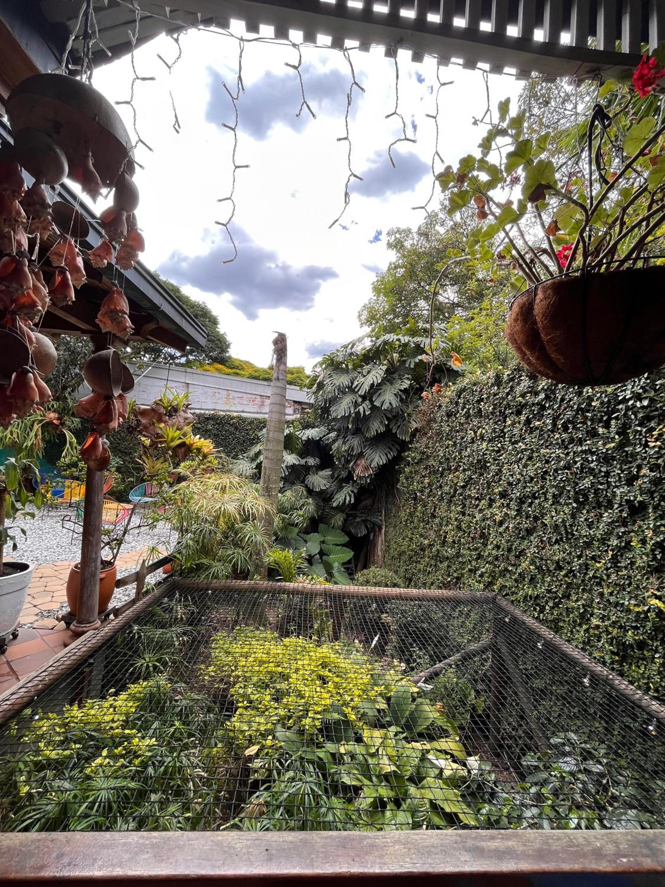 Yolo Hostel Medellin