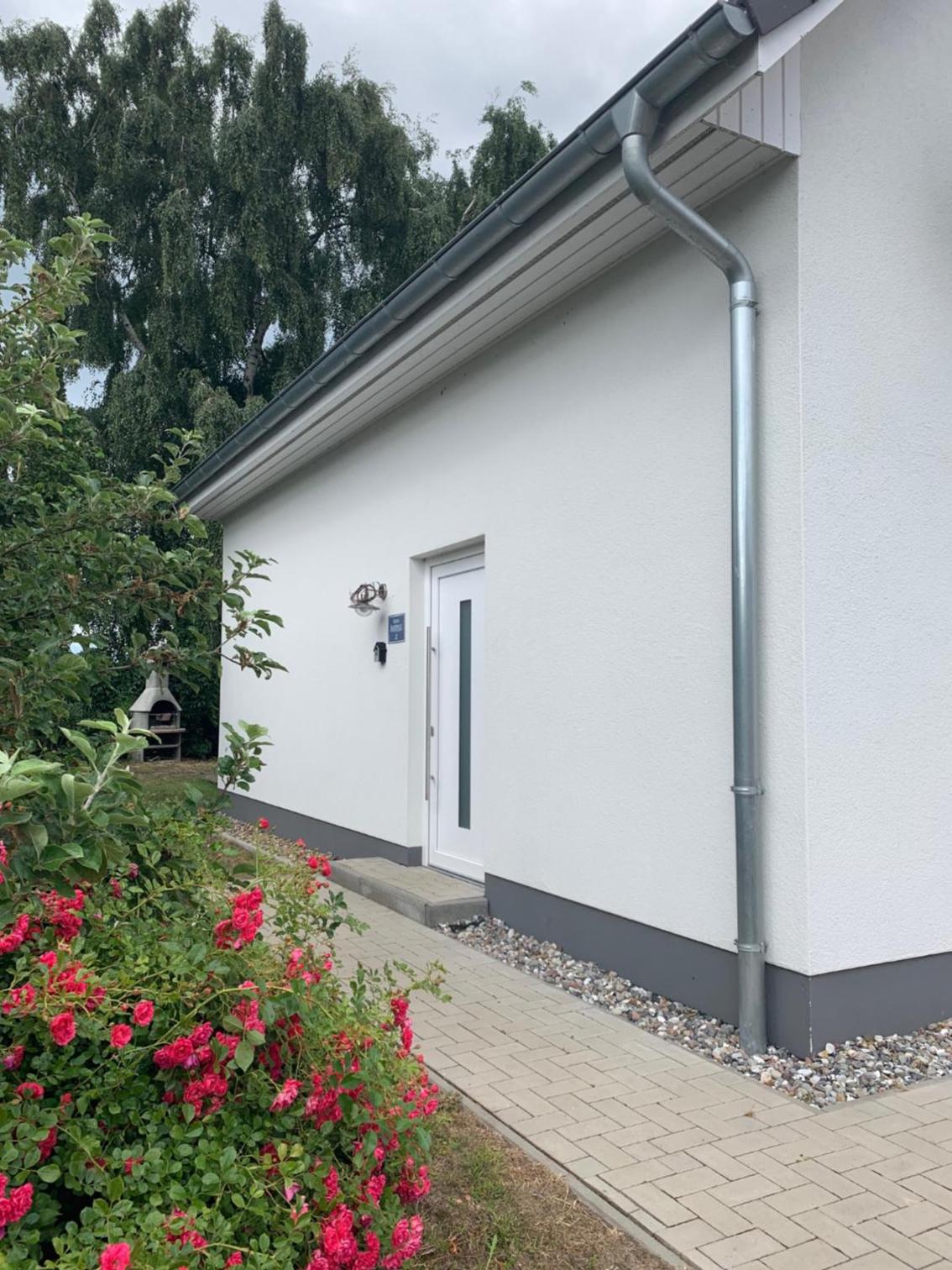 Boddenhus Loissin