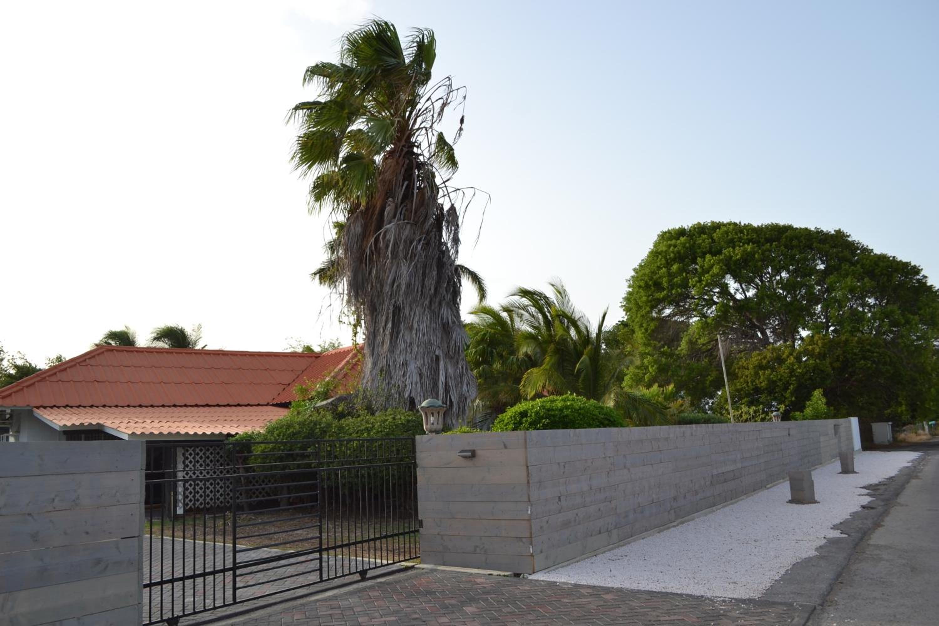 Palm Trees Apartments
