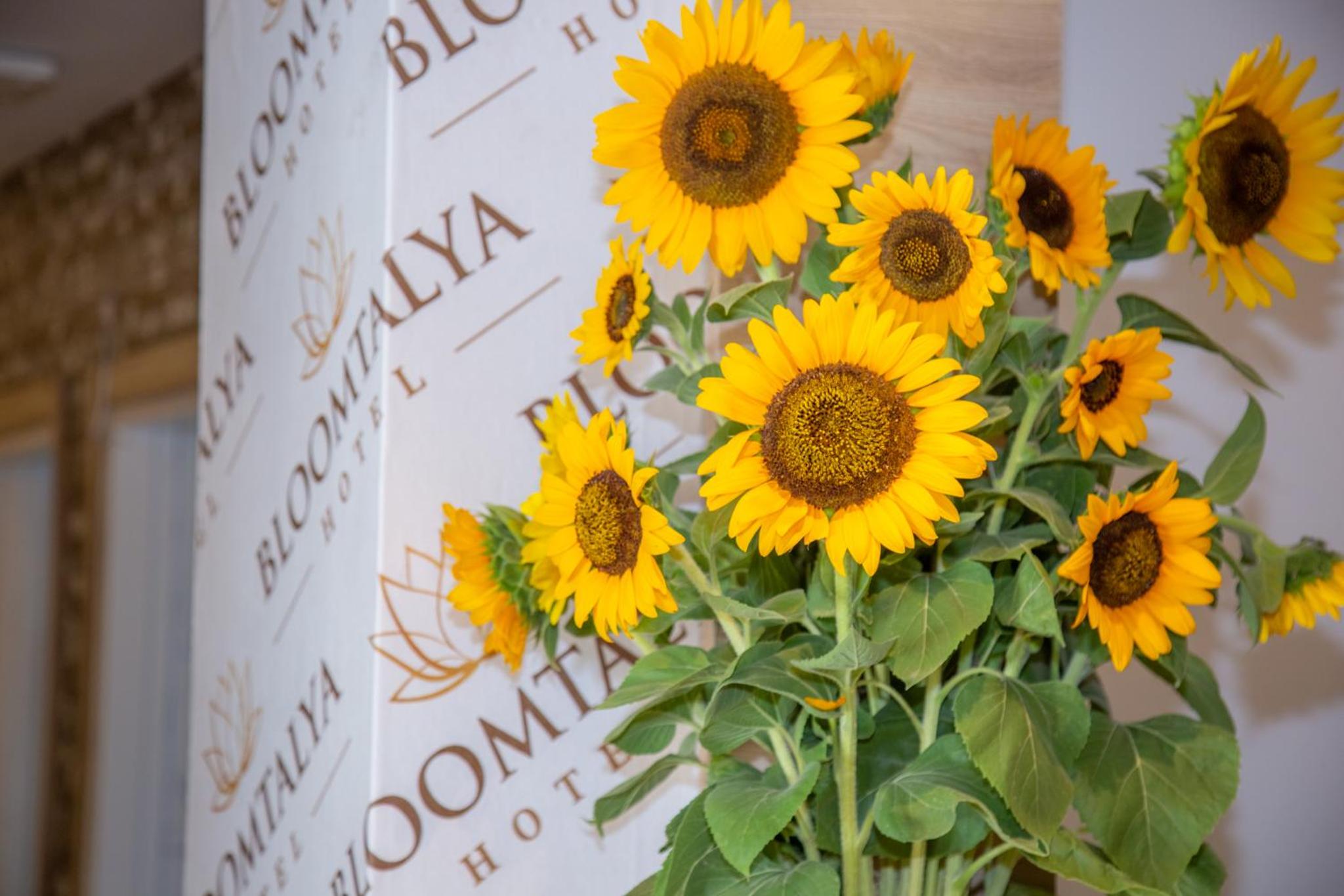 Bloomtalya Hotel - Image 18