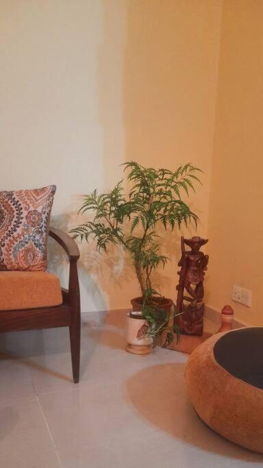 Classy and Stylish One Bedroom Aptment in Col