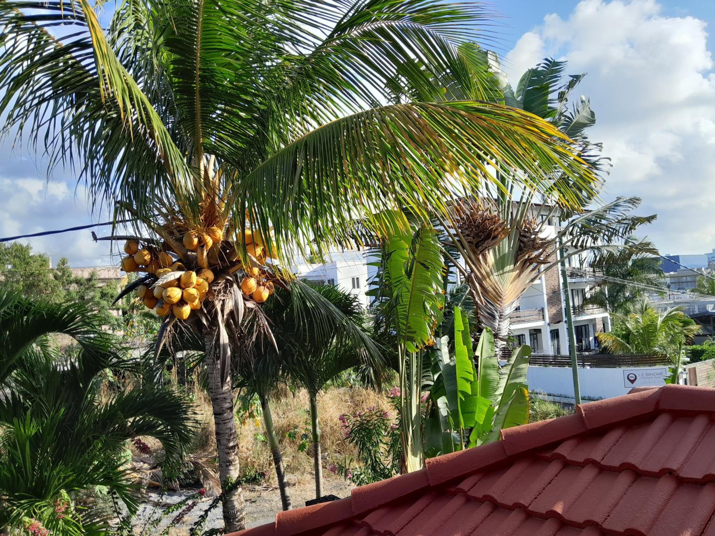 Photo 42
