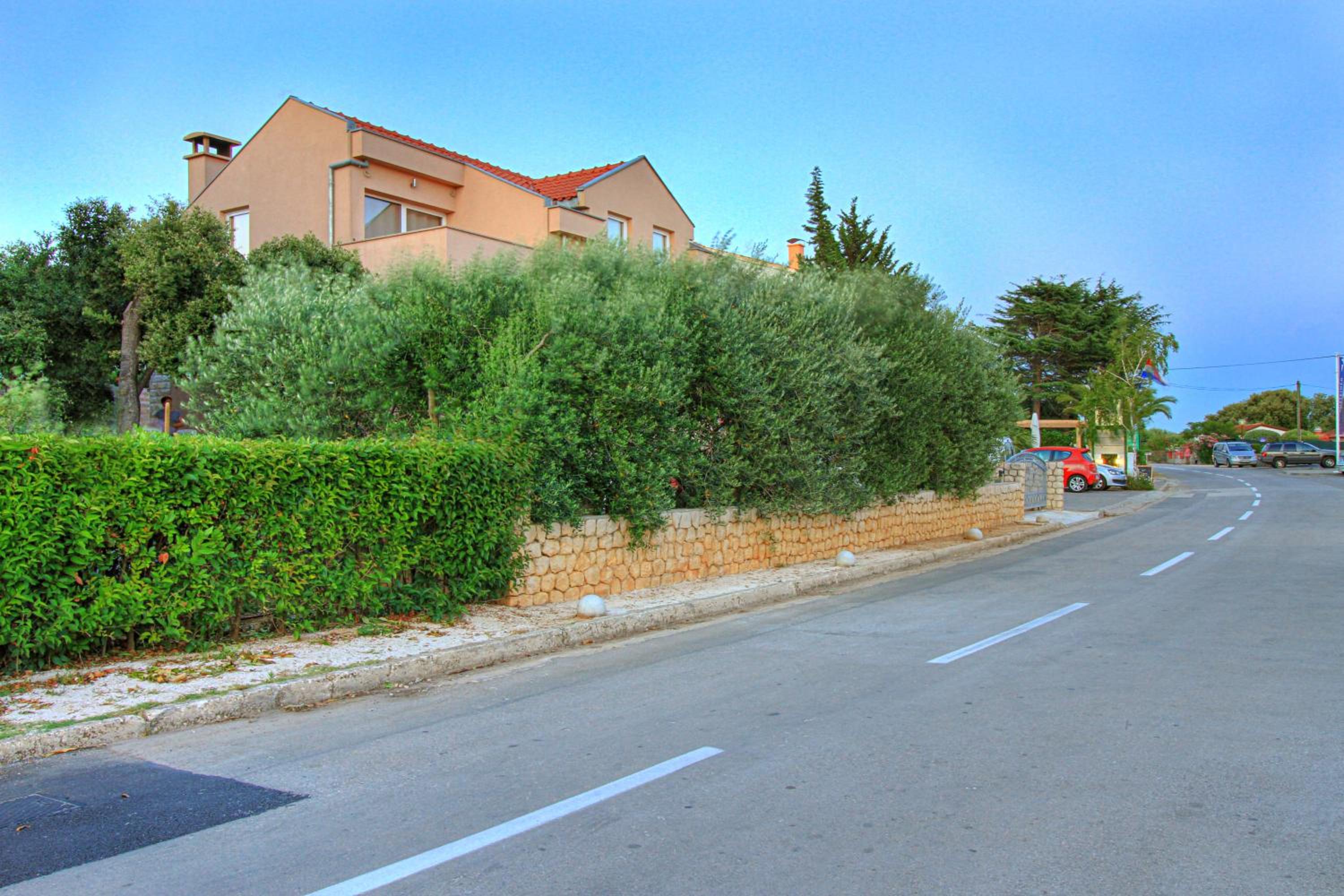 Photo 44