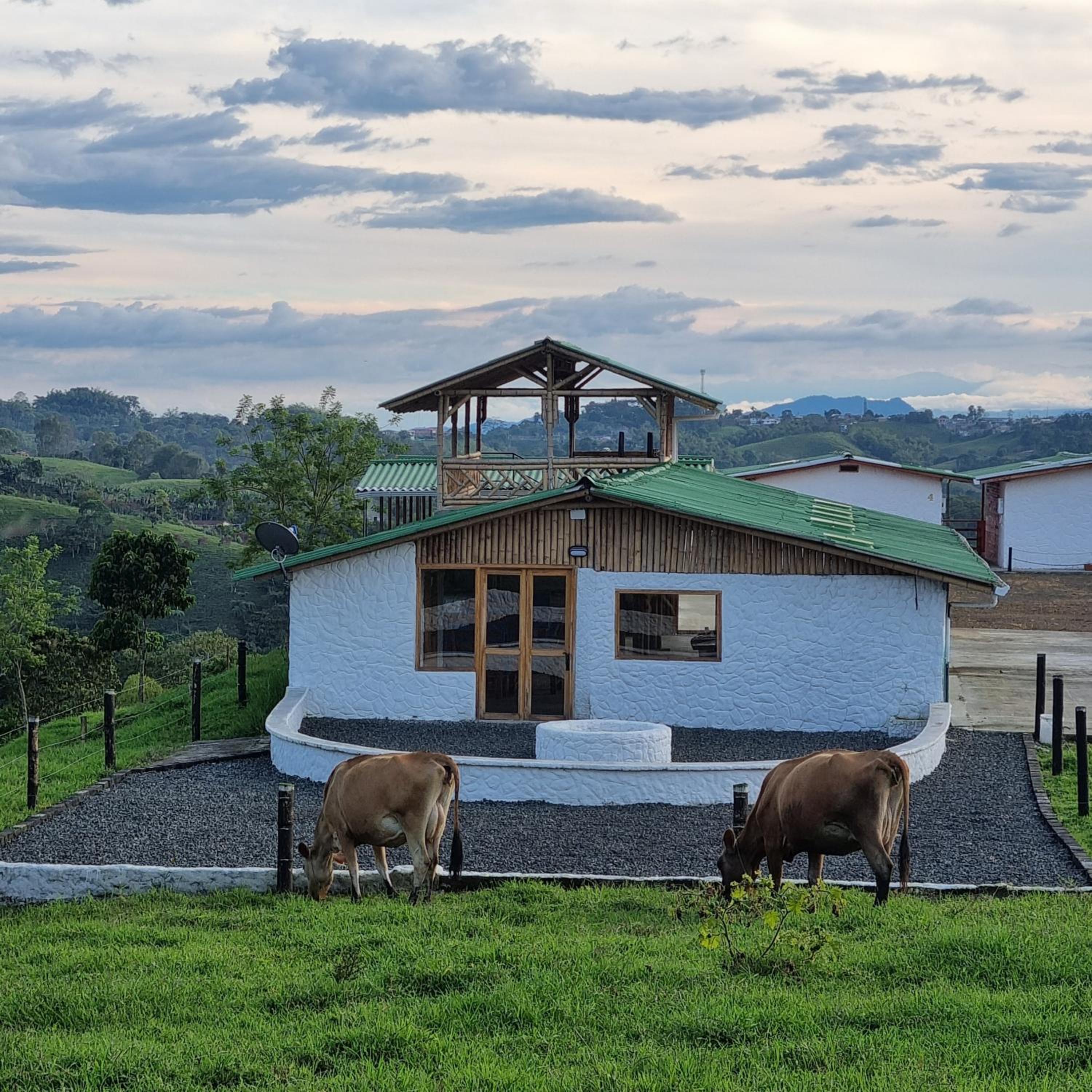 Villa madeira hospedaje
