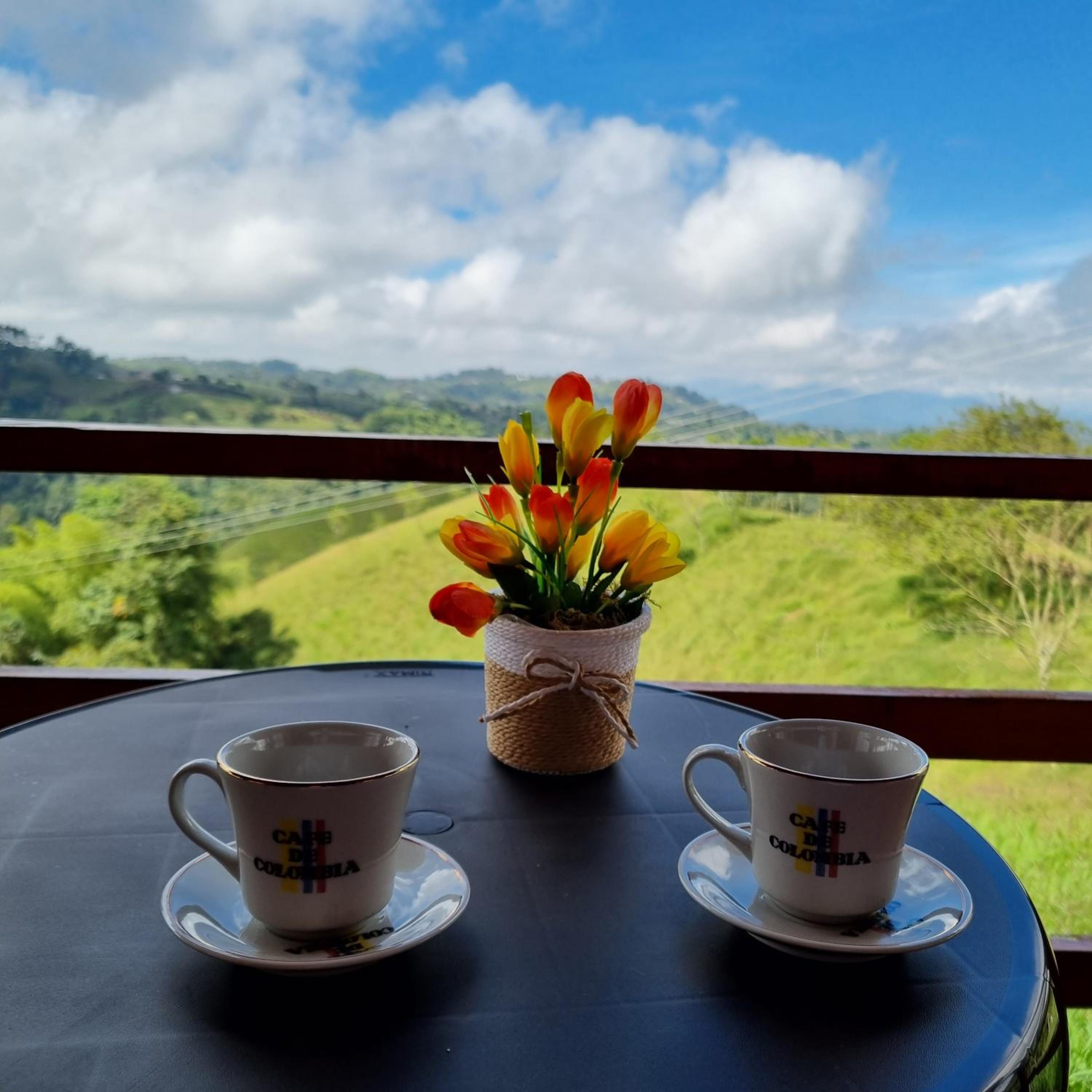 Villa madeira hospedaje