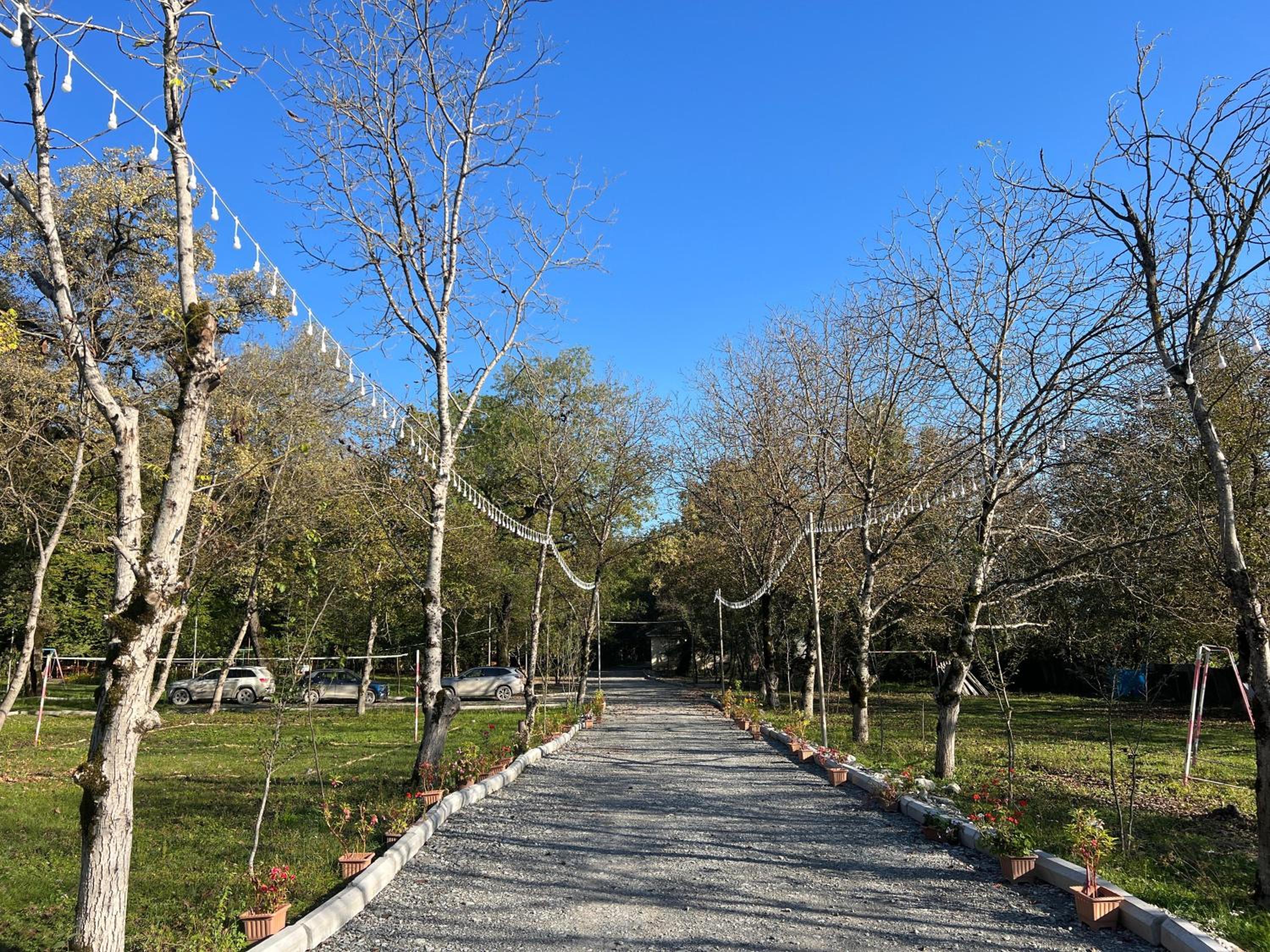Topchu Forest Ismayilli