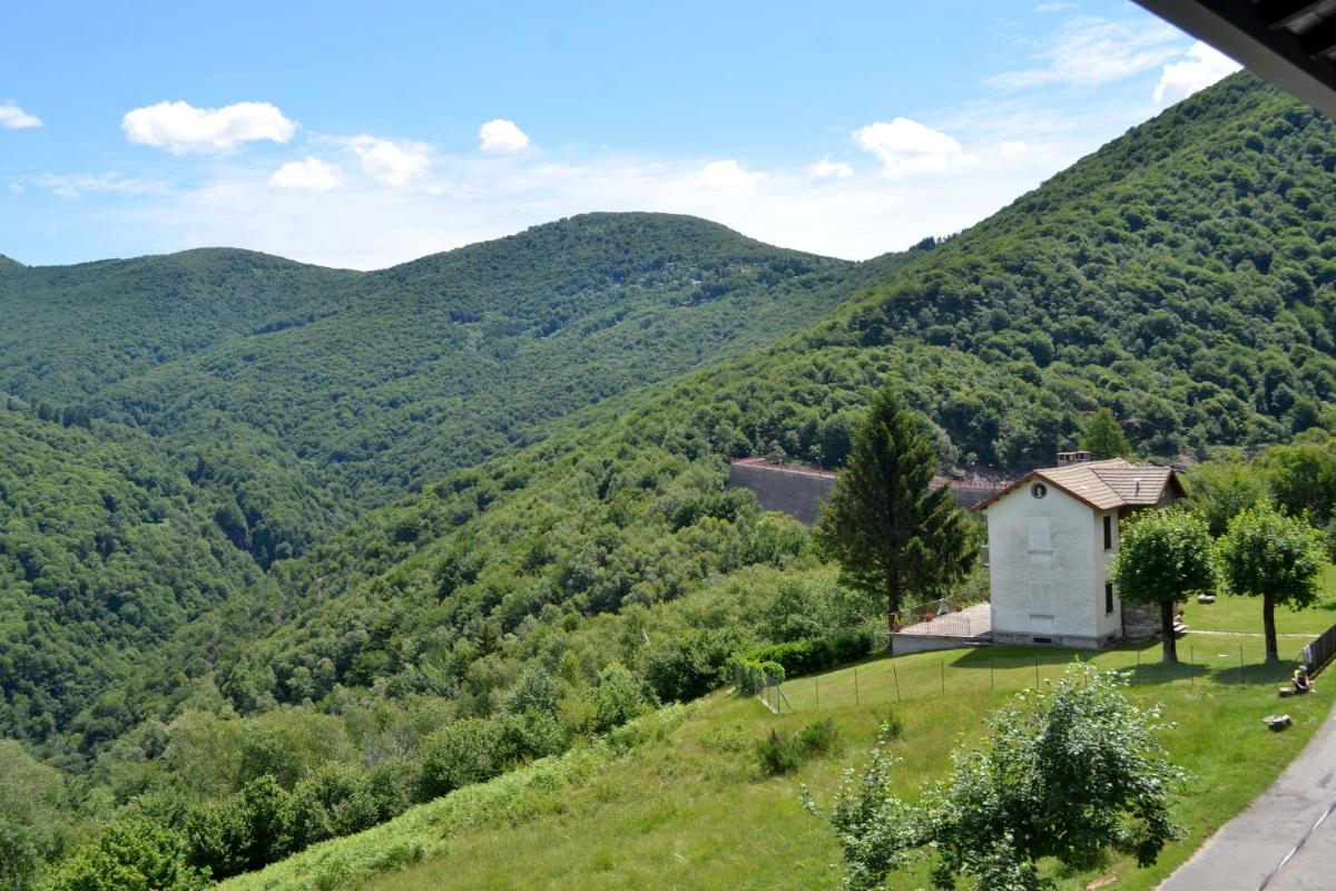 Photo 42