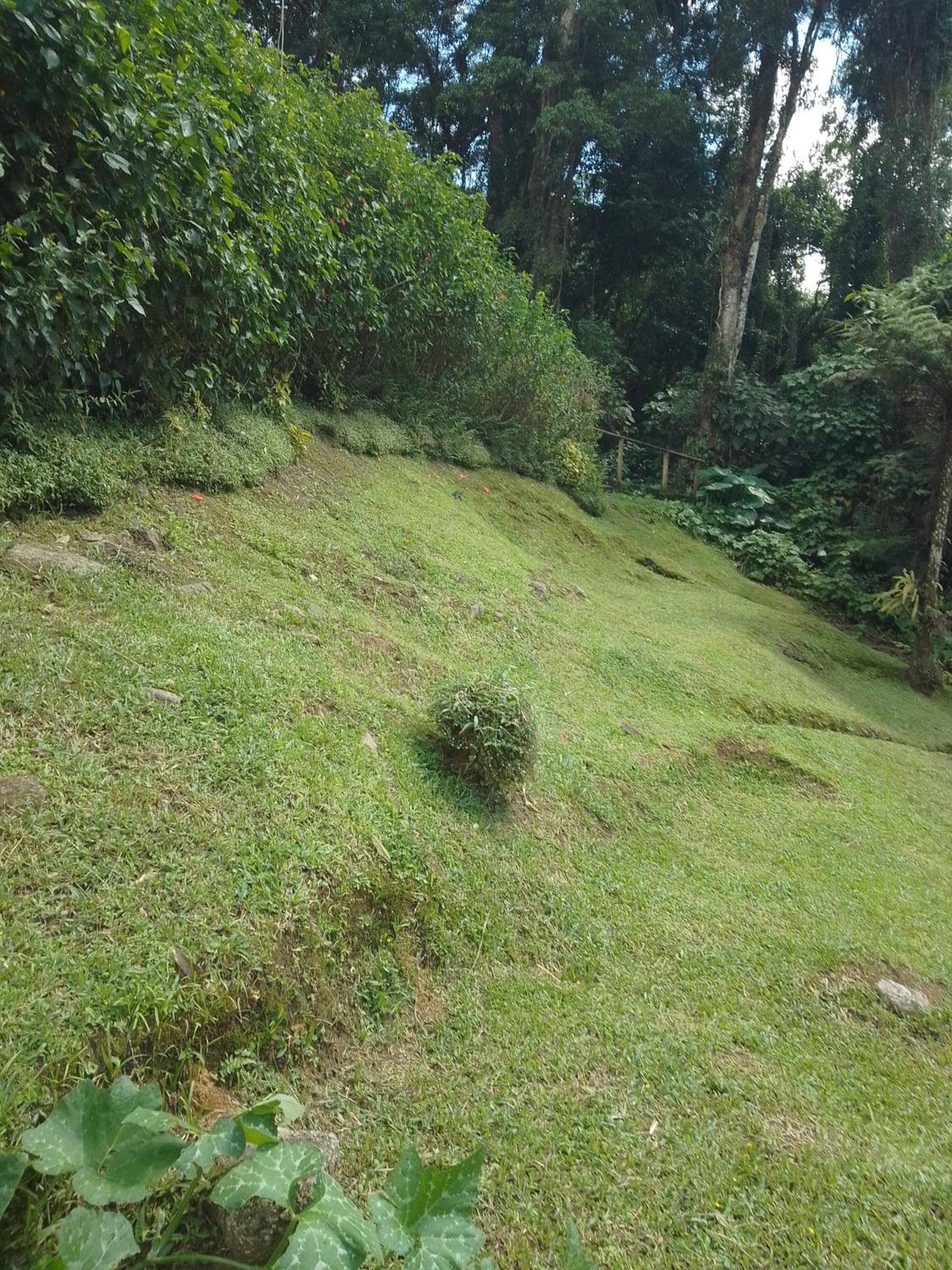 Casa da floresta