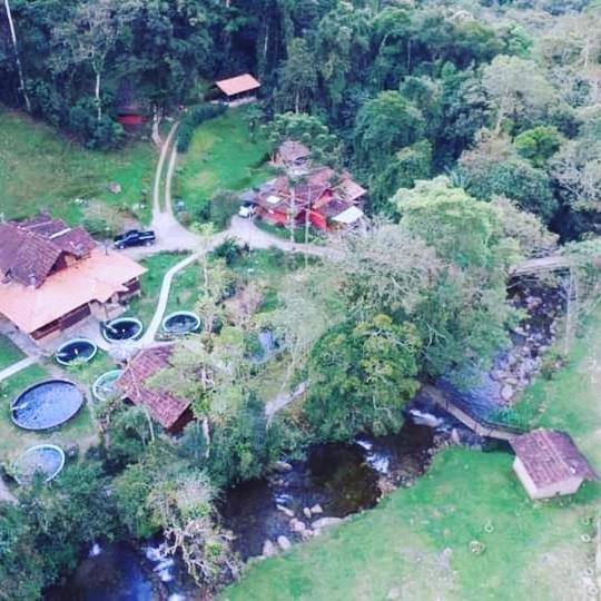 Casa da floresta