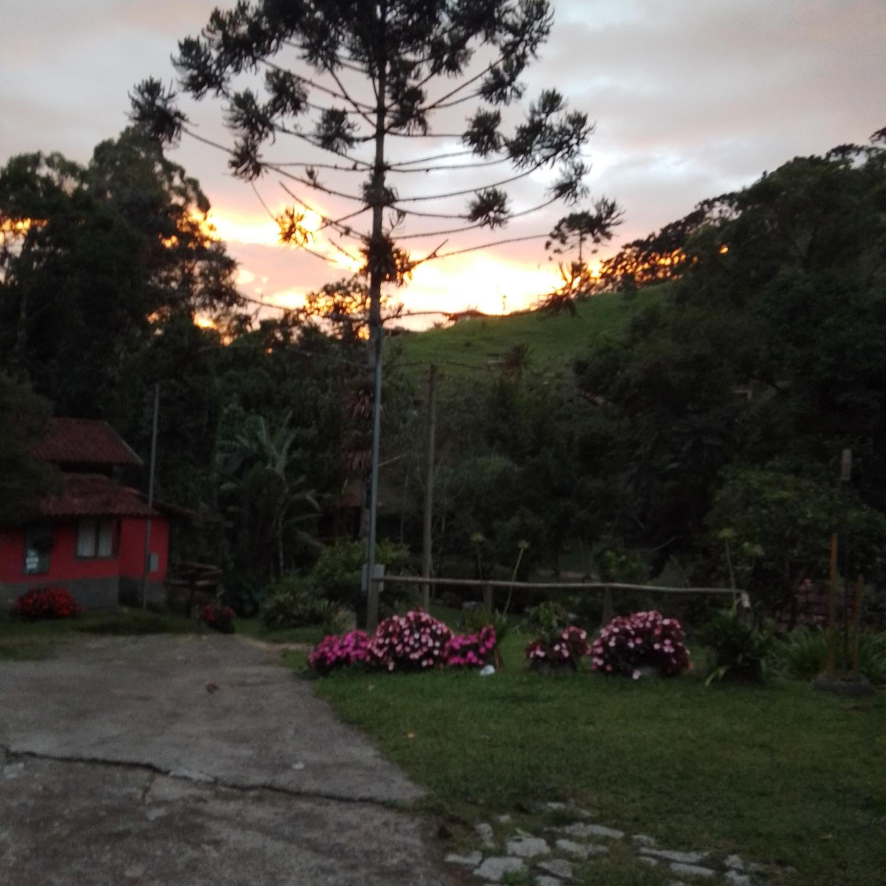 Casa da floresta
