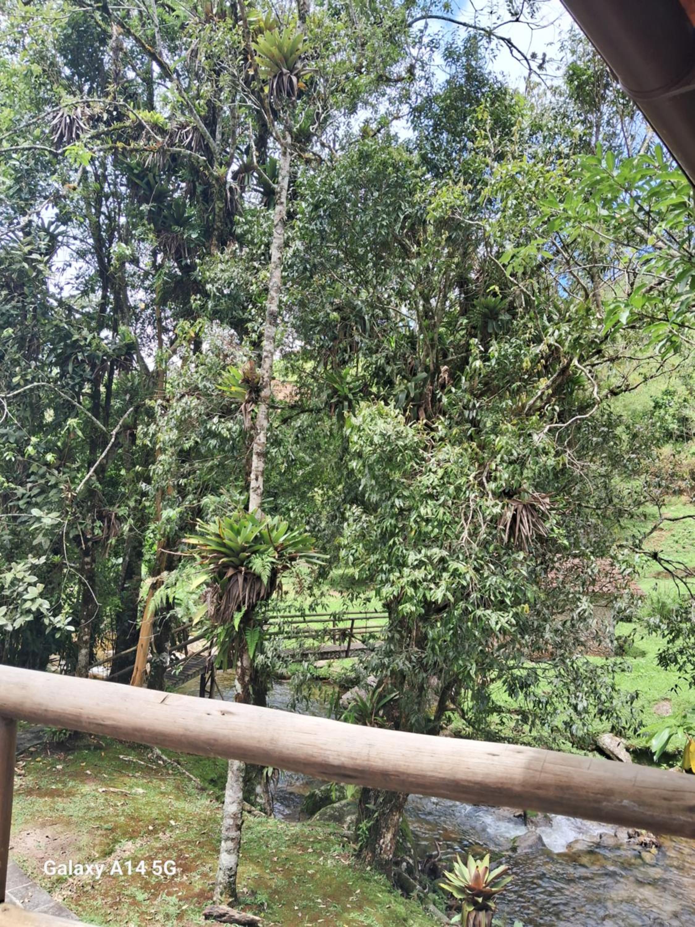 Casa da floresta