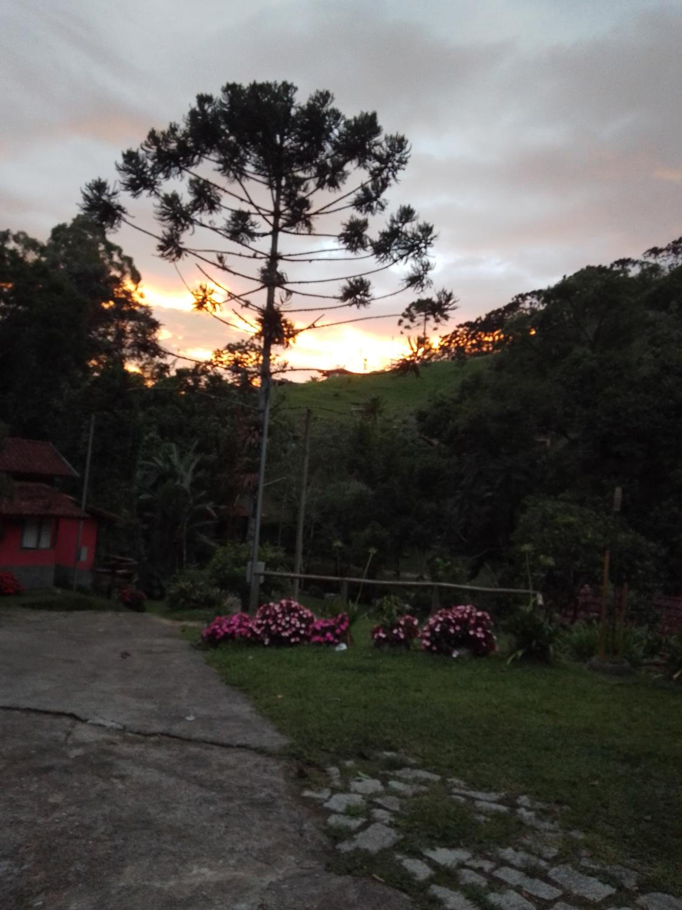 Casa da floresta