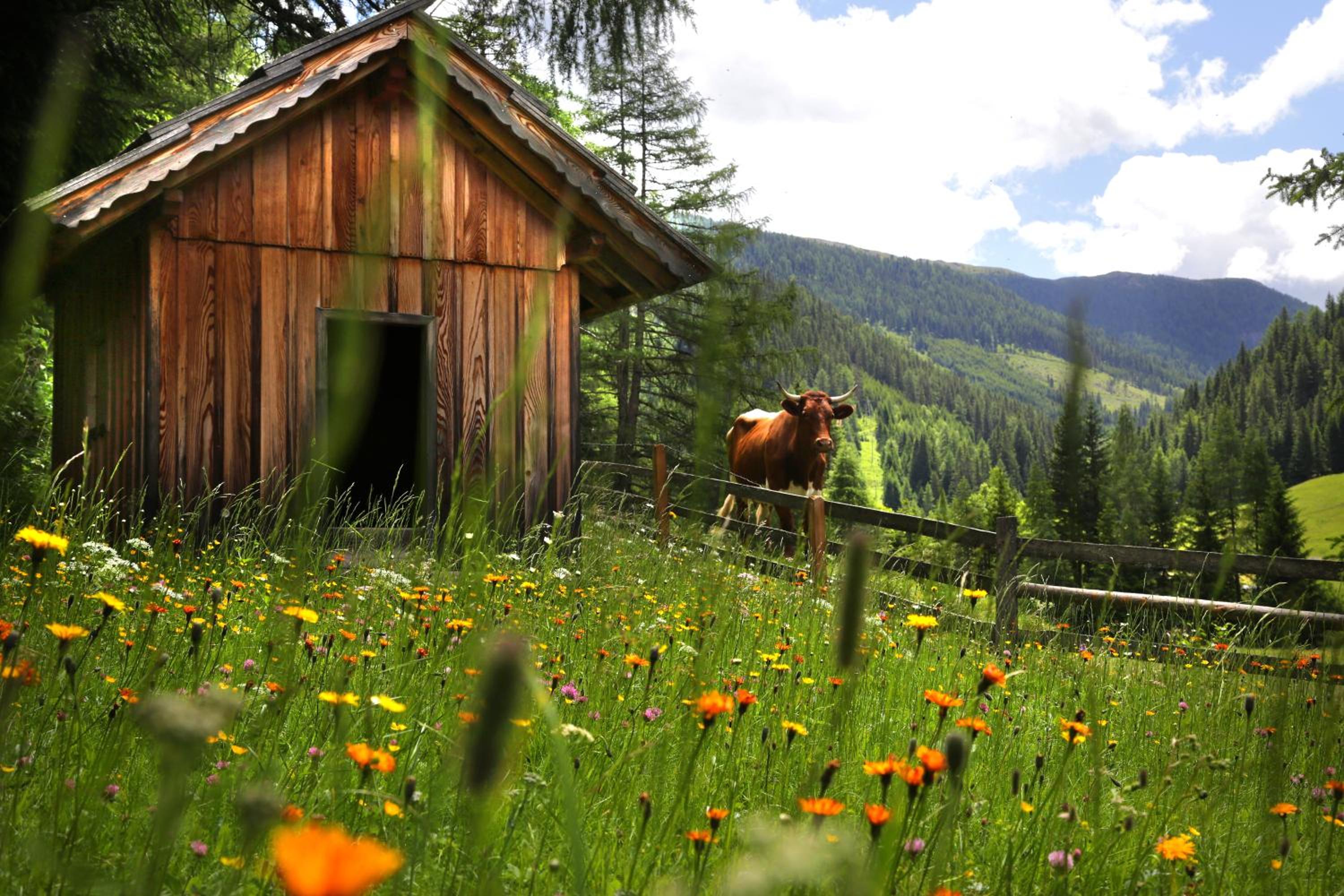 Gasserhütte